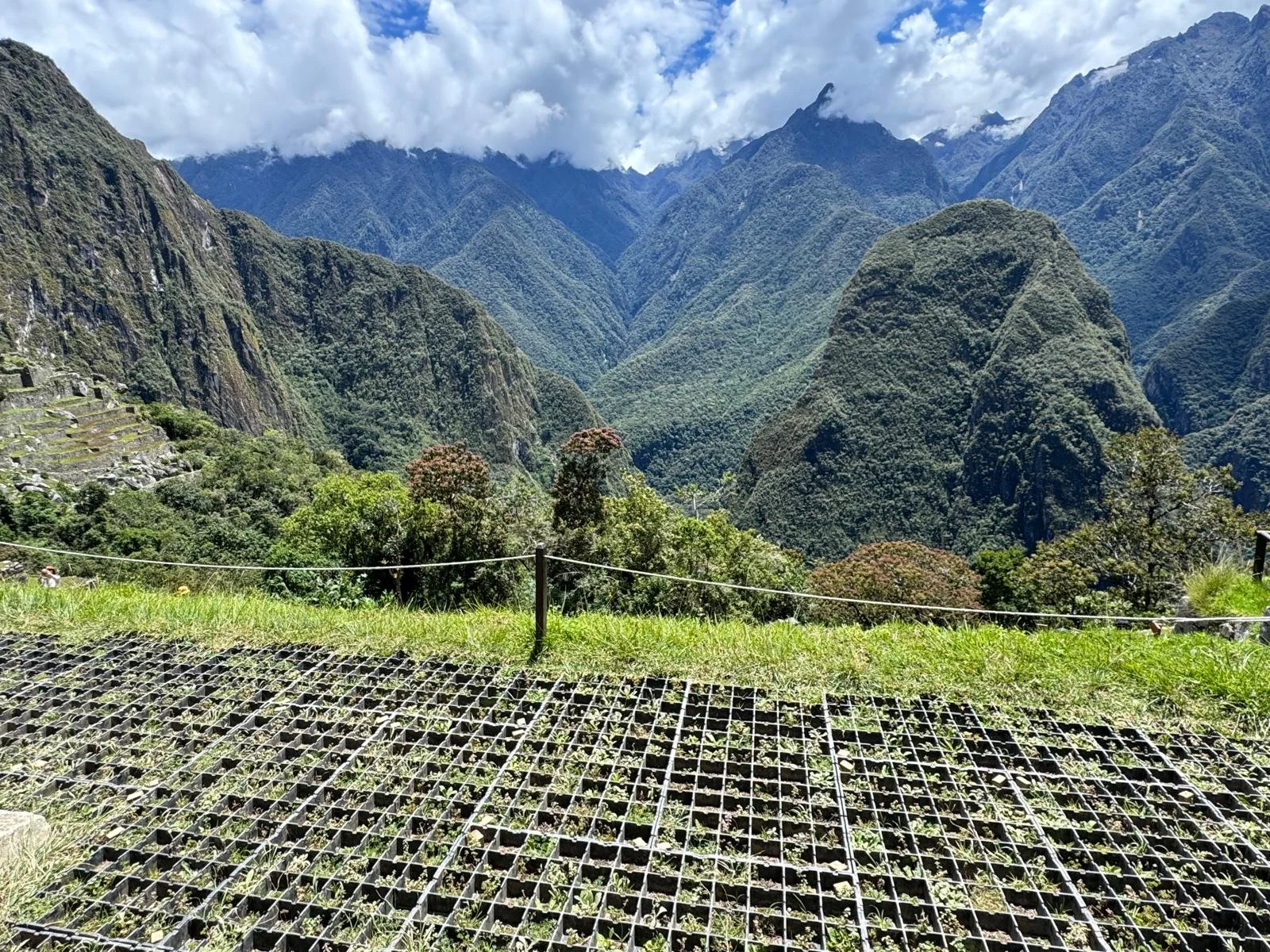 WhatsApp Image 2026-03-17 at 17.37.23 (1).jpeg