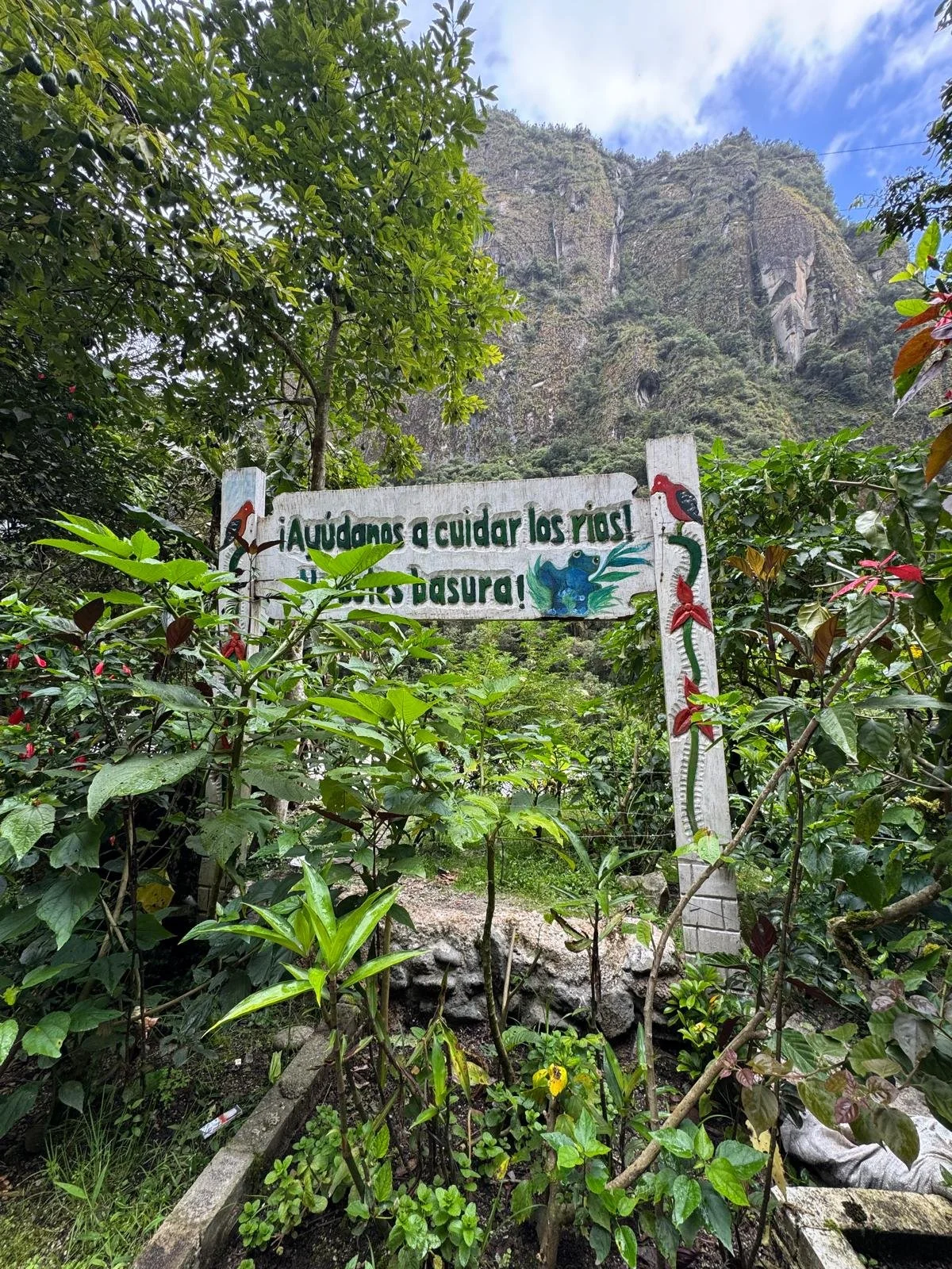 WhatsApp Image 2026-03-17 at 18.22.03 (1).jpeg