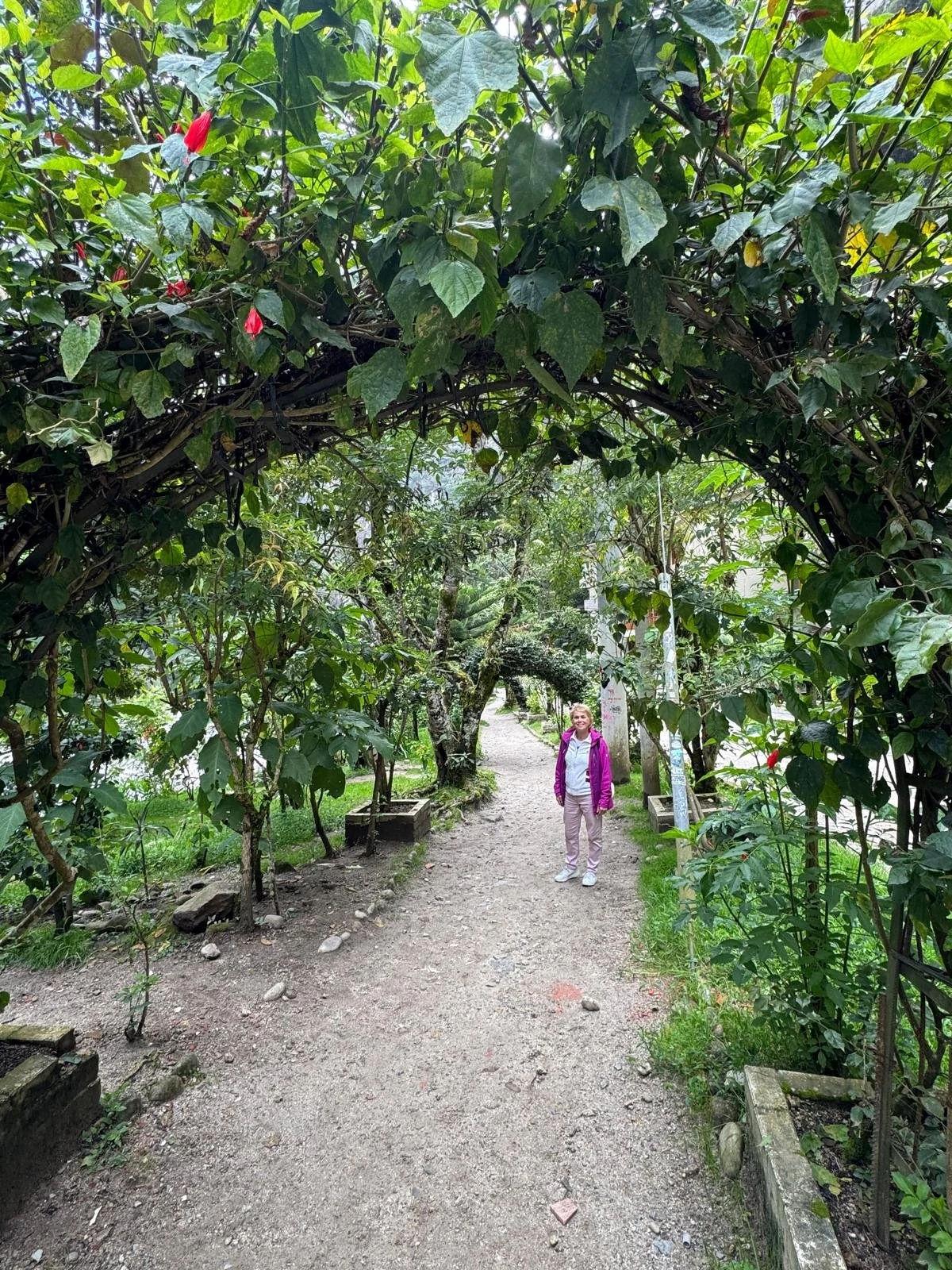 WhatsApp Image 2026-03-17 at 18.22.03 (2).jpeg