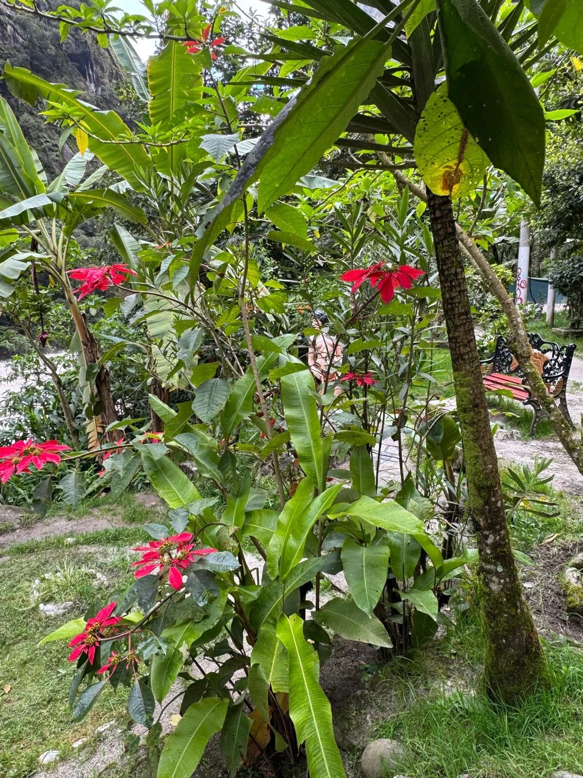 WhatsApp Image 2026-03-17 at 18.22.03 (3).jpeg