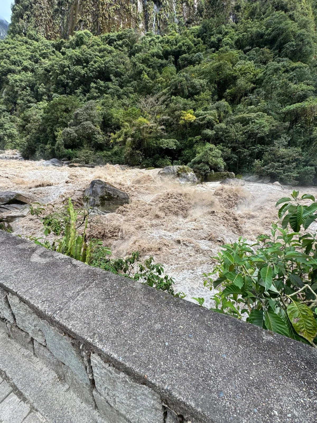 WhatsApp Image 2026-03-17 at 18.32.34.jpeg