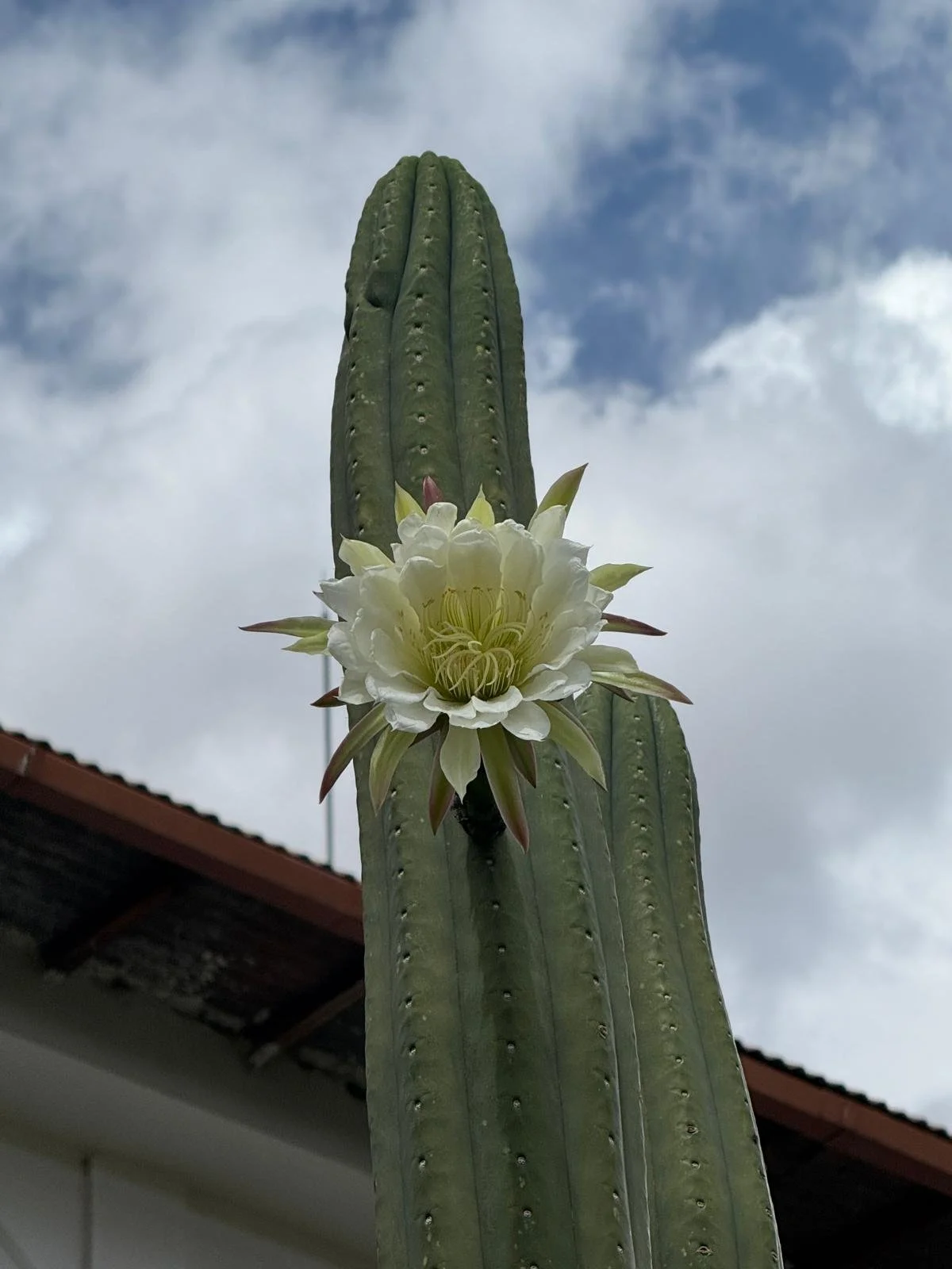 WhatsApp Image 2026-03-19 at 15.14.55 (6).jpeg