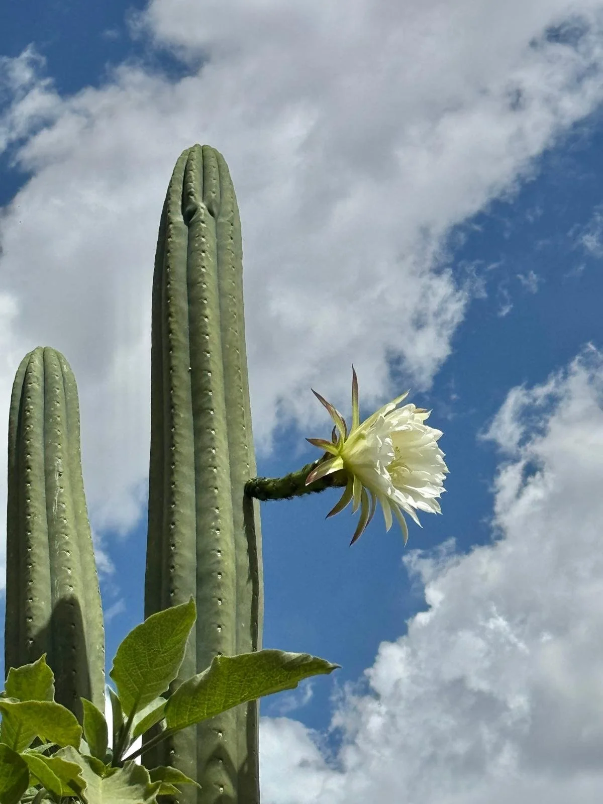 WhatsApp Image 2026-03-19 at 15.14.55 (4).jpeg