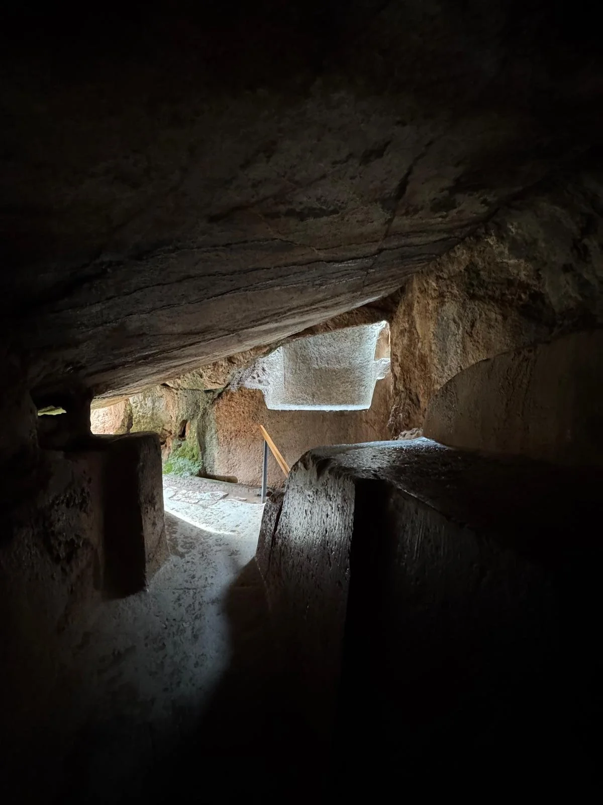 WhatsApp Image 2026-03-19 at 15.19.40 (7).jpeg