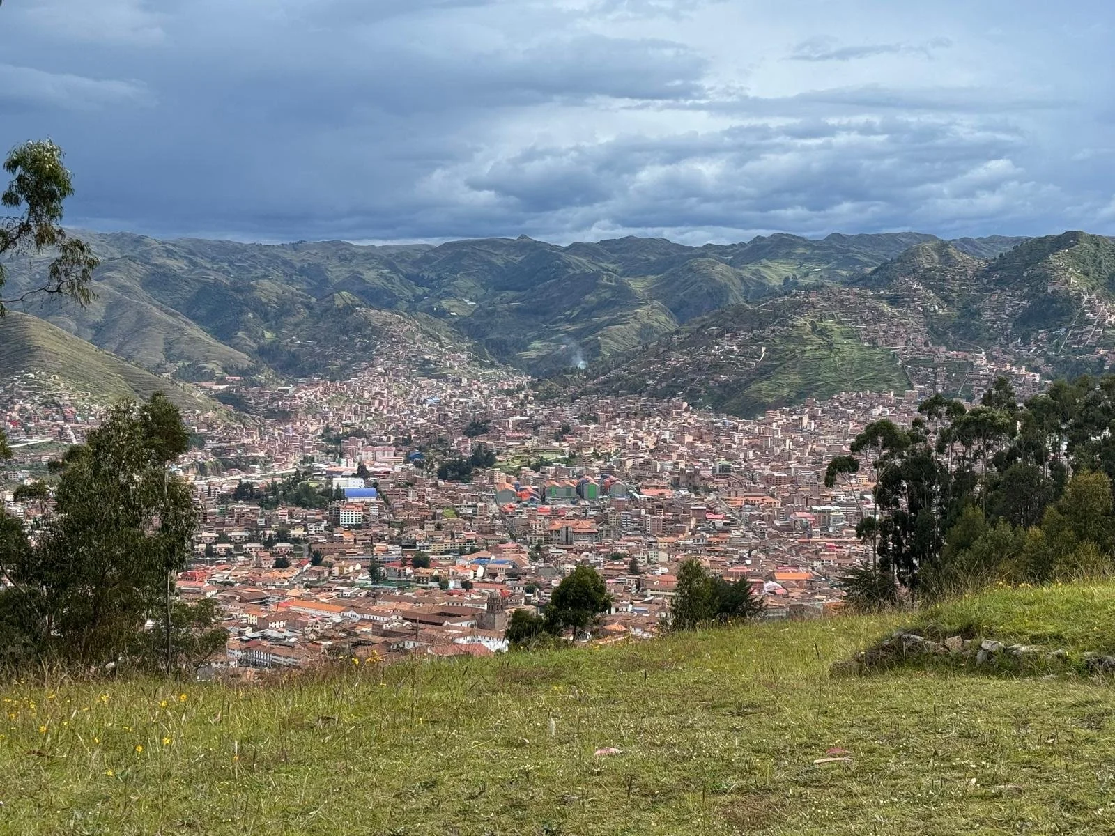 WhatsApp Image 2026-03-19 at 15.21.02 (1).jpeg