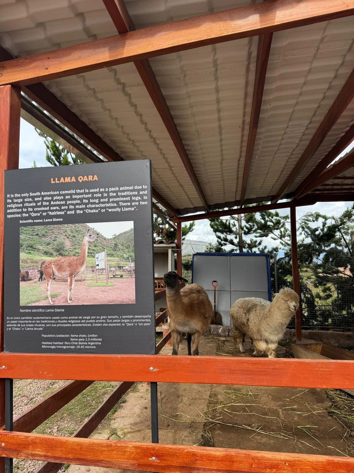 WhatsApp Image 2026-03-19 at 15.22.02.jpeg