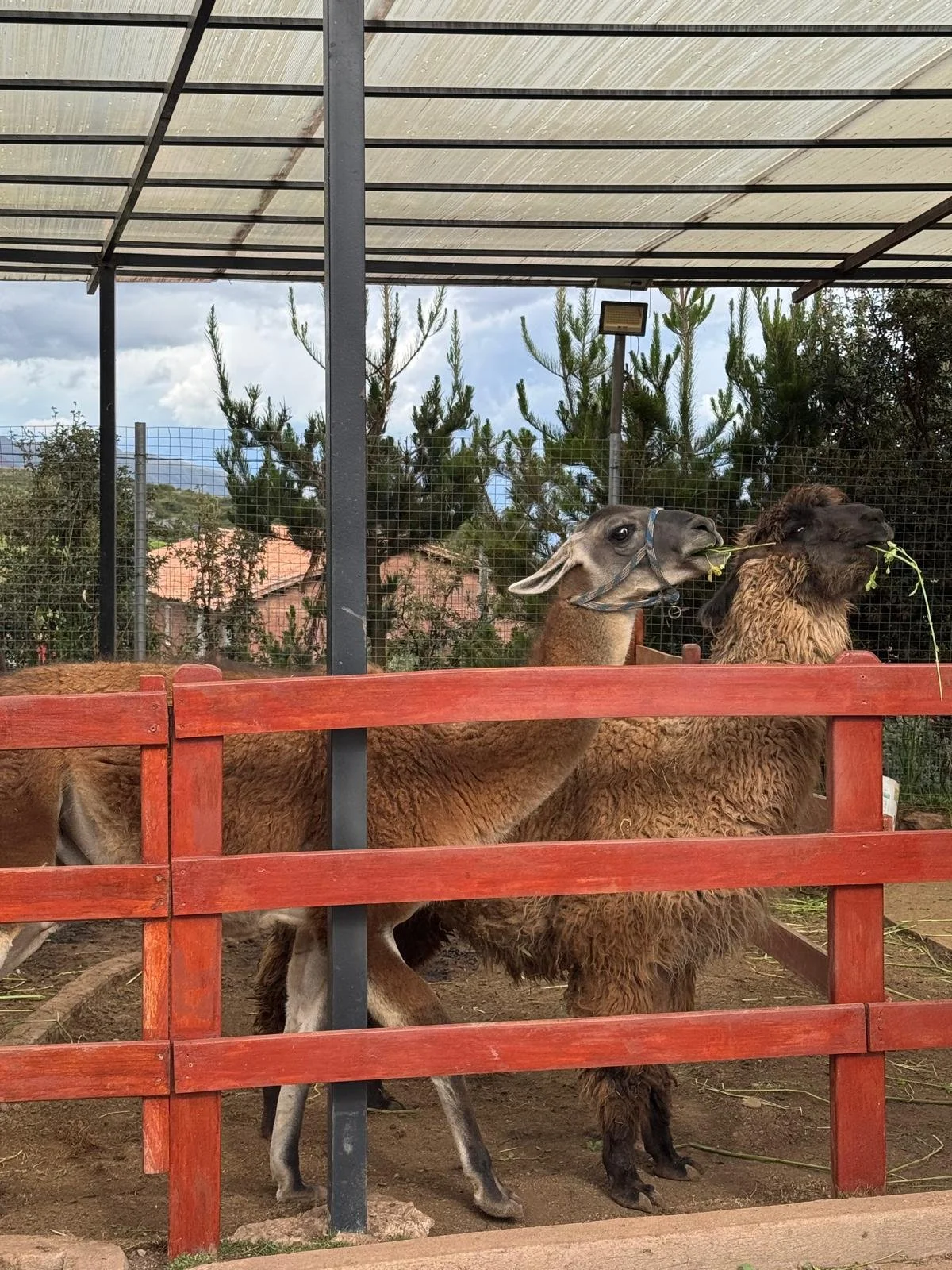 WhatsApp Image 2026-03-19 at 15.22.01.jpeg