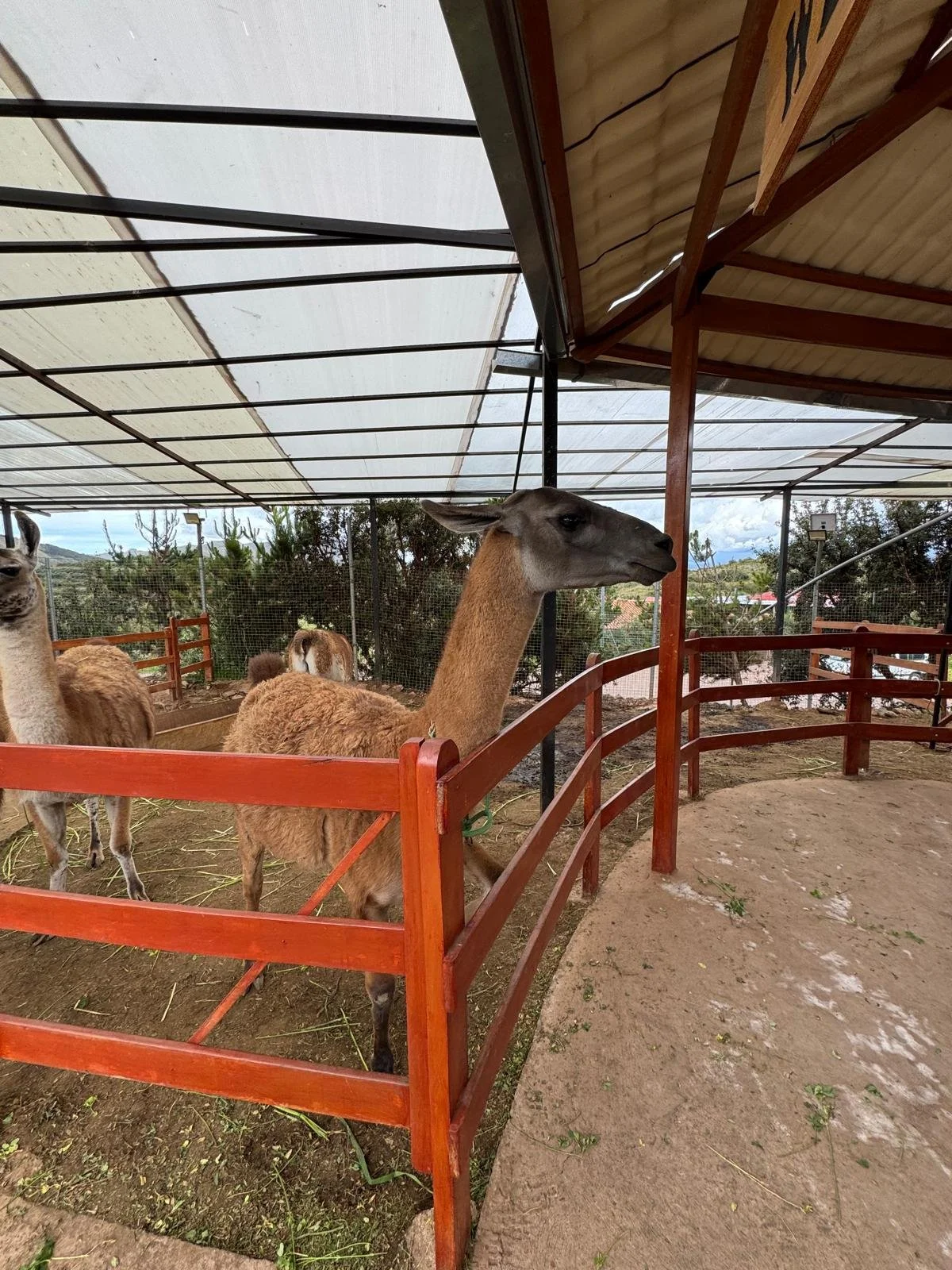 WhatsApp Image 2026-03-19 at 15.22.02 (3).jpeg