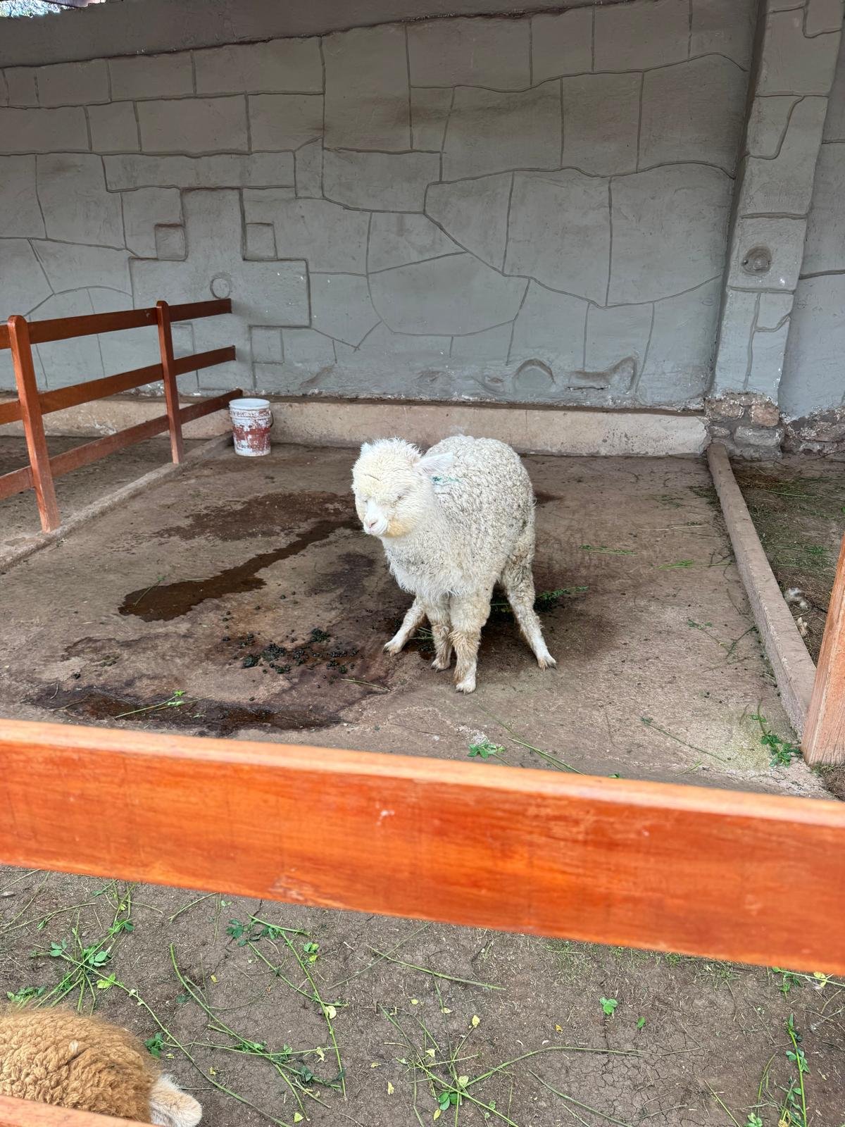 WhatsApp Image 2026-03-19 at 15.22.03 (2).jpeg