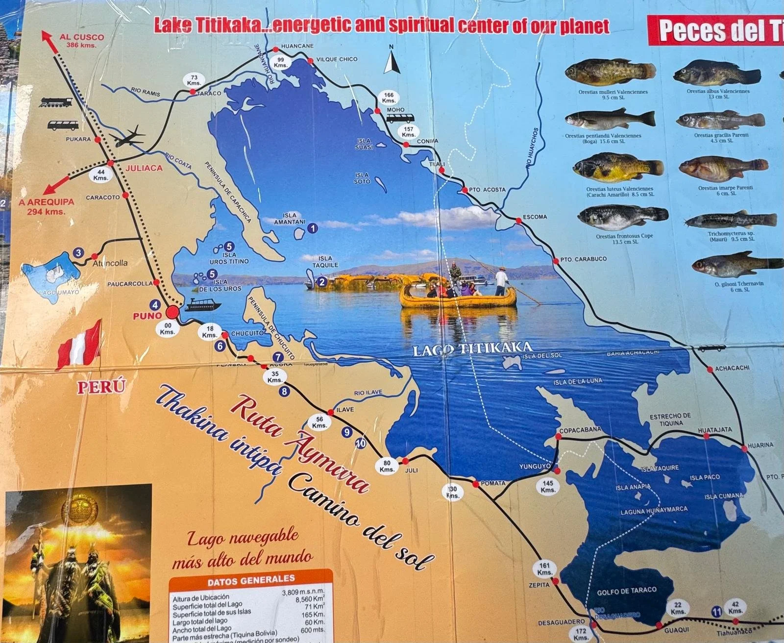 WhatsApp Image 2026-03-20 at 13.29.32 (1).jpeg