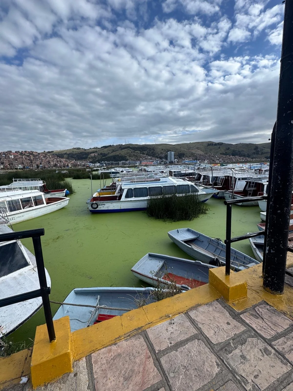 WhatsApp Image 2026-03-20 at 13.29.32.jpeg