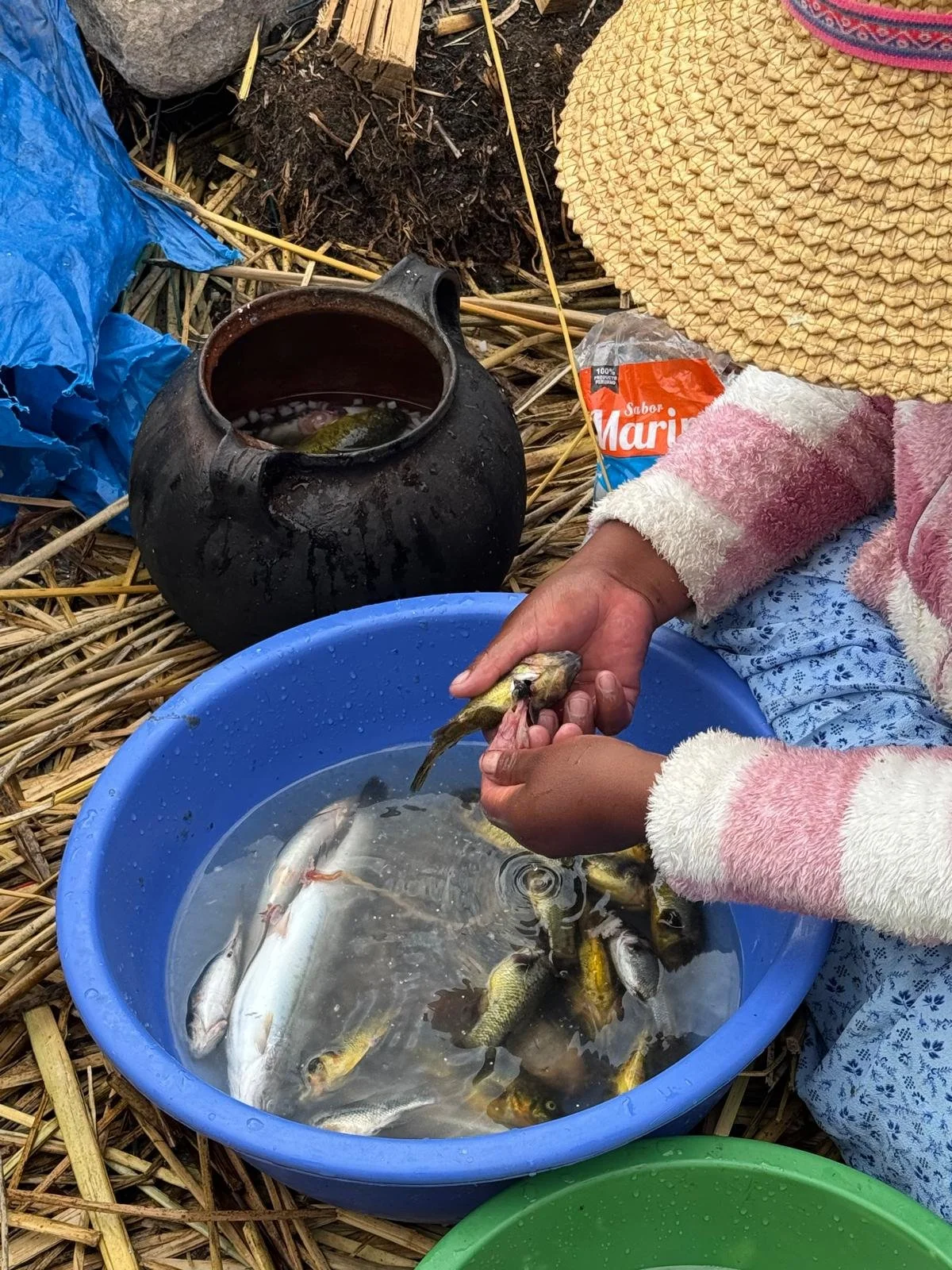 WhatsApp Image 2026-03-20 at 13.32.03 (1).jpeg