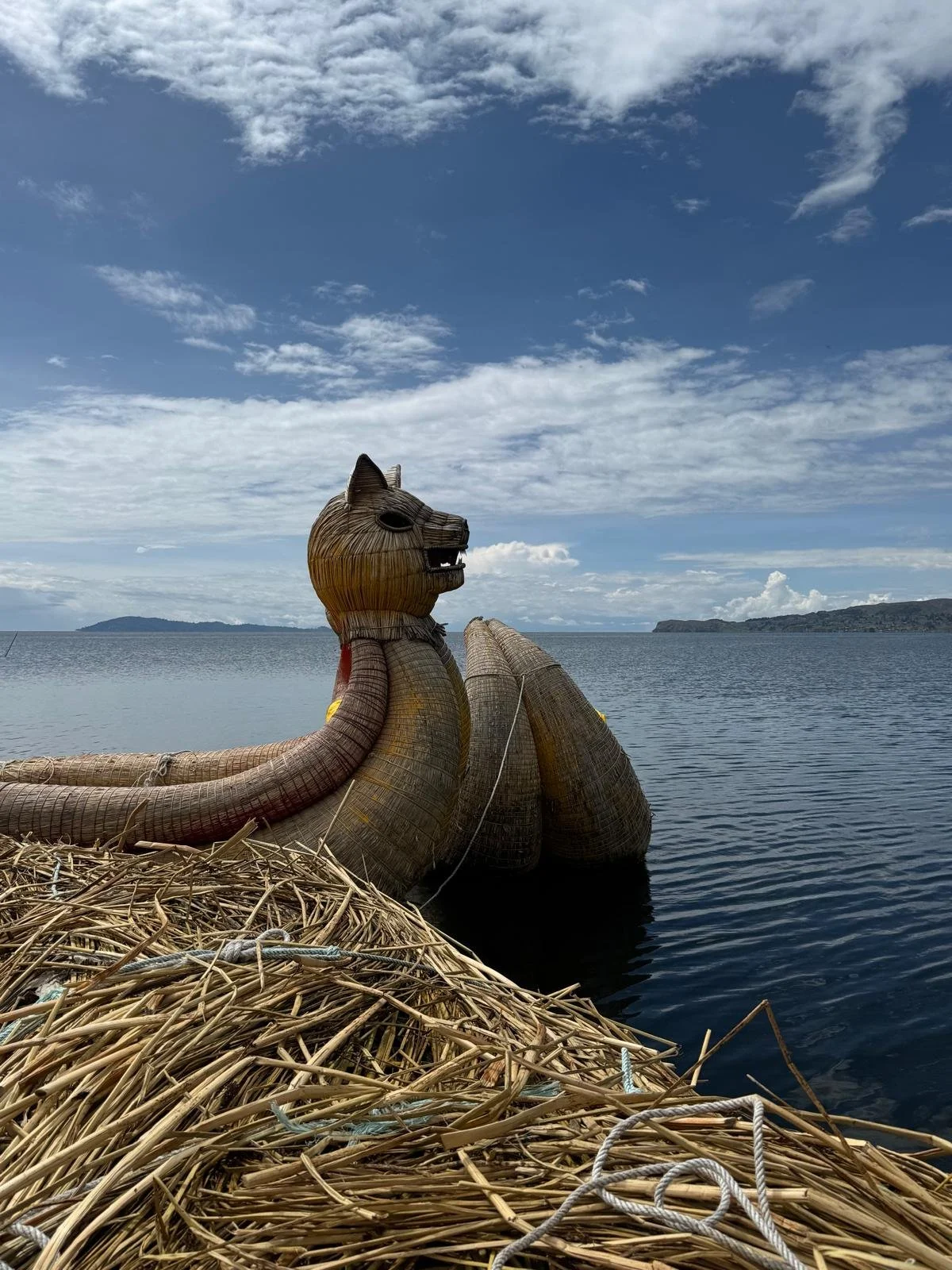 WhatsApp Image 2026-03-20 at 13.34.29 (1).jpeg