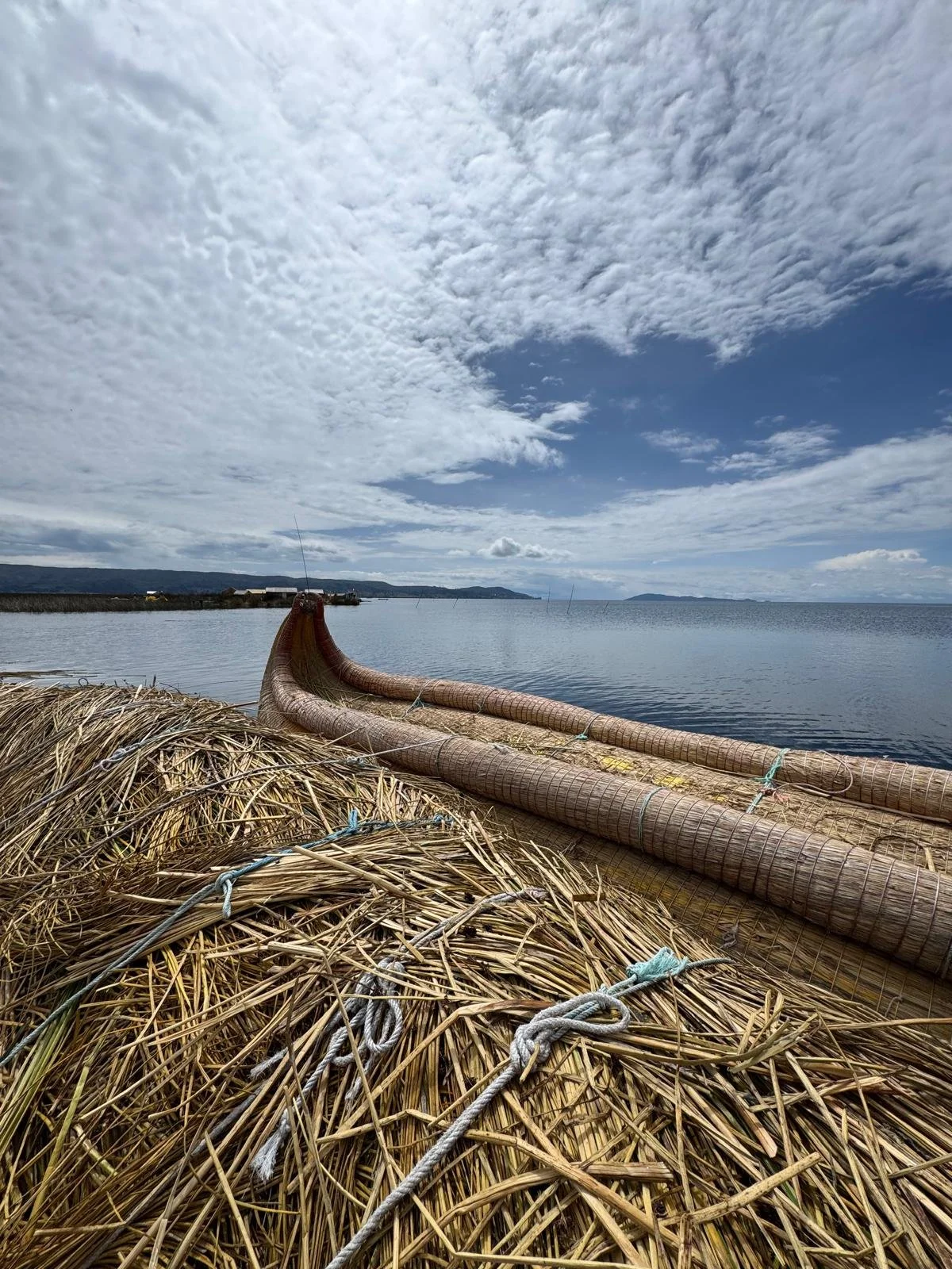 WhatsApp Image 2026-03-20 at 13.34.29.jpeg