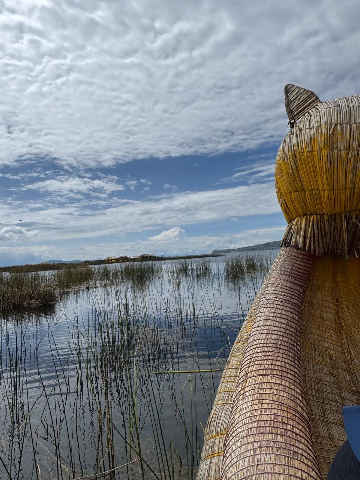 WhatsApp Image 2026-03-20 at 13.42.27.jpeg