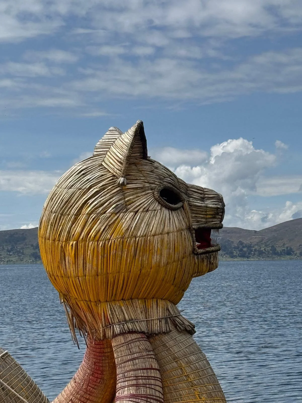 WhatsApp Image 2026-03-20 at 13.42.27 (11).jpeg