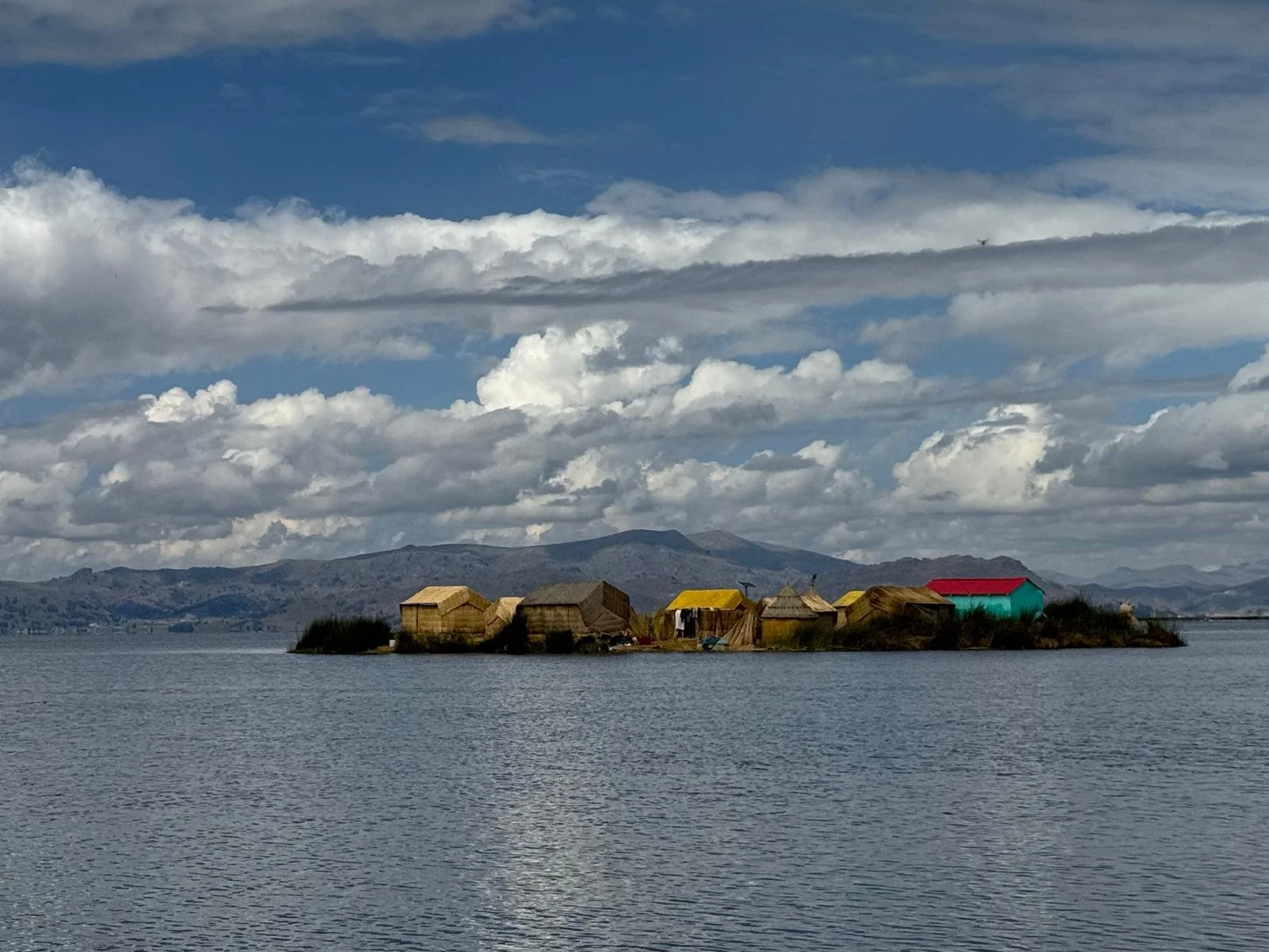 WhatsApp Image 2026-03-20 at 13.42.27 (7).jpeg