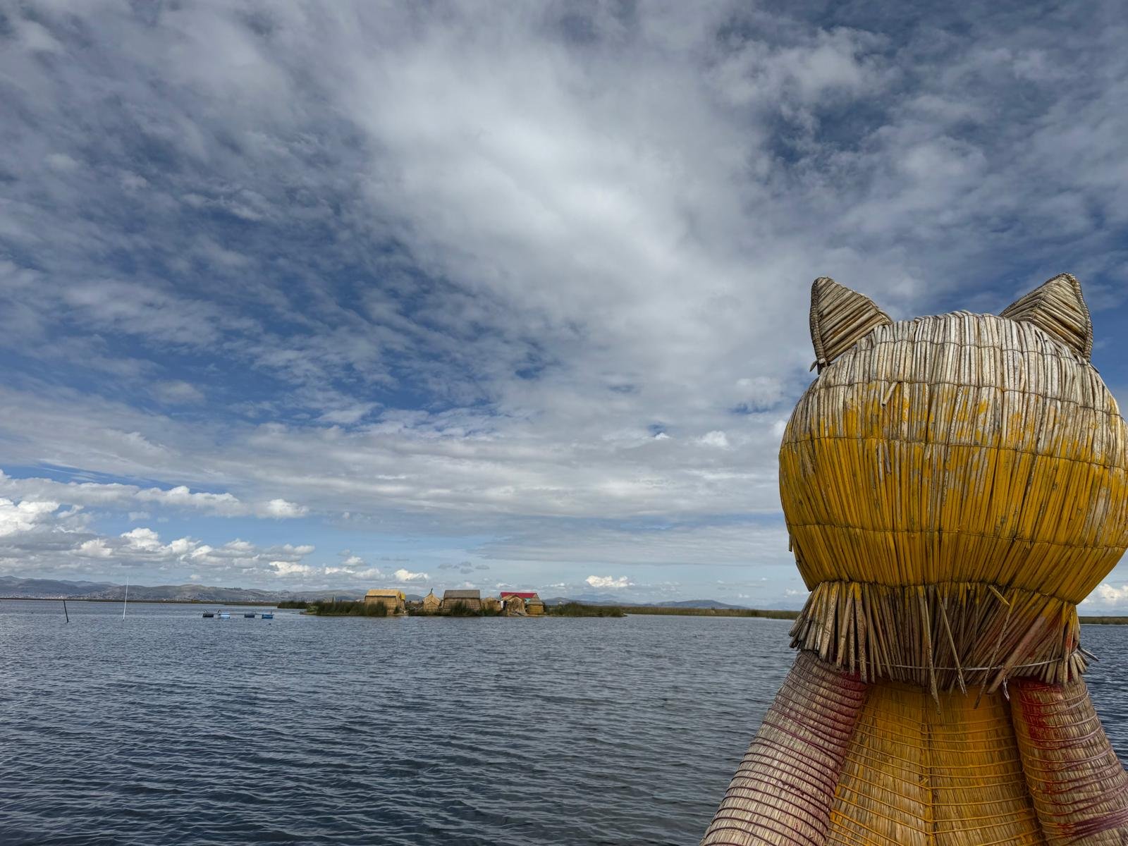 WhatsApp Image 2026-03-20 at 13.42.27 (5).jpeg