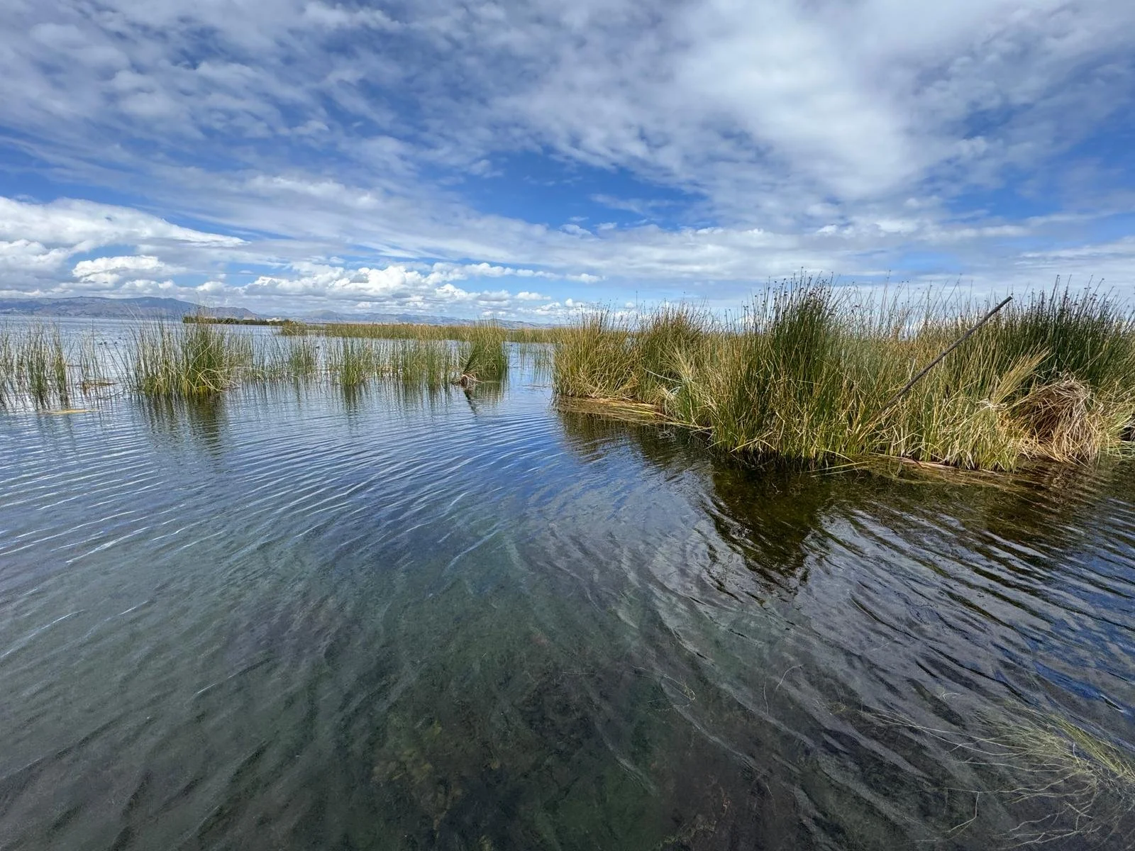 WhatsApp Image 2026-03-20 at 13.42.27 (2).jpeg