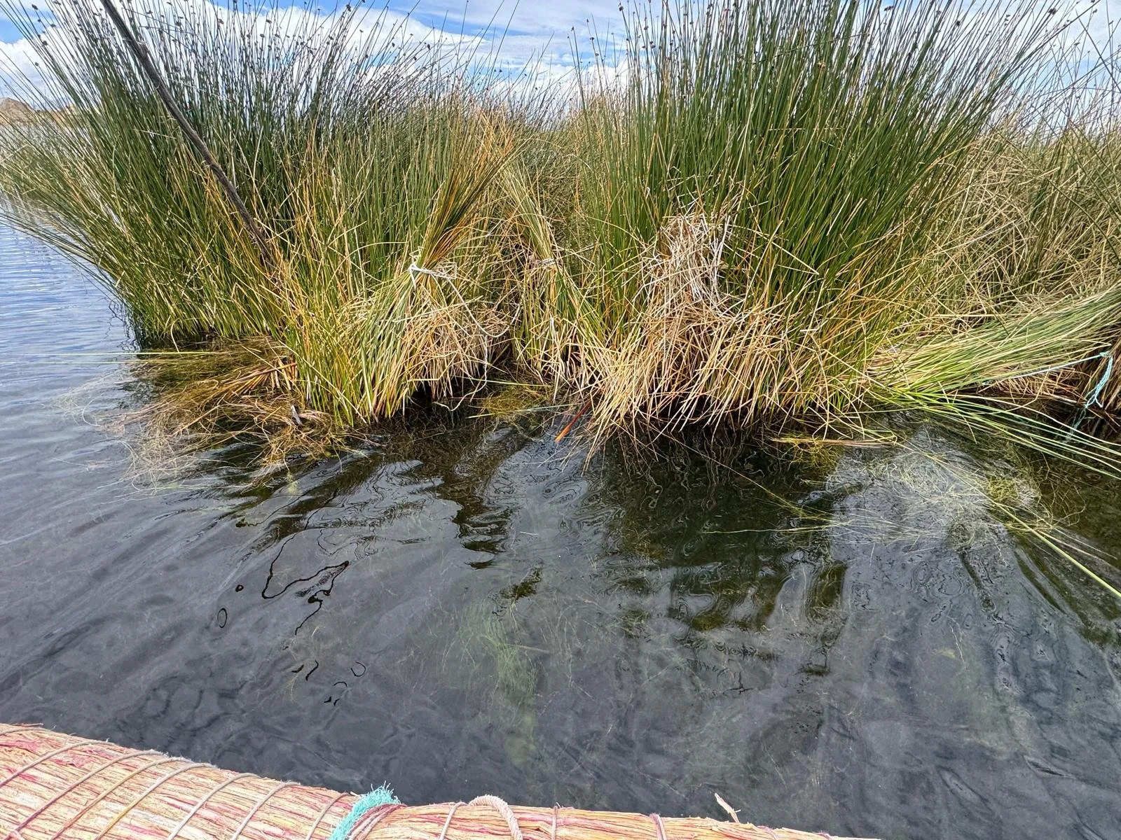 WhatsApp Image 2026-03-20 at 13.42.27 (1).jpeg