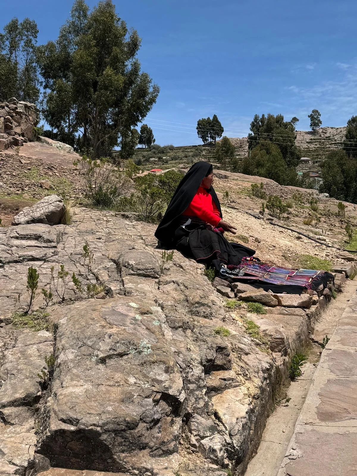 WhatsApp Image 2026-03-20 at 13.44.48.jpeg