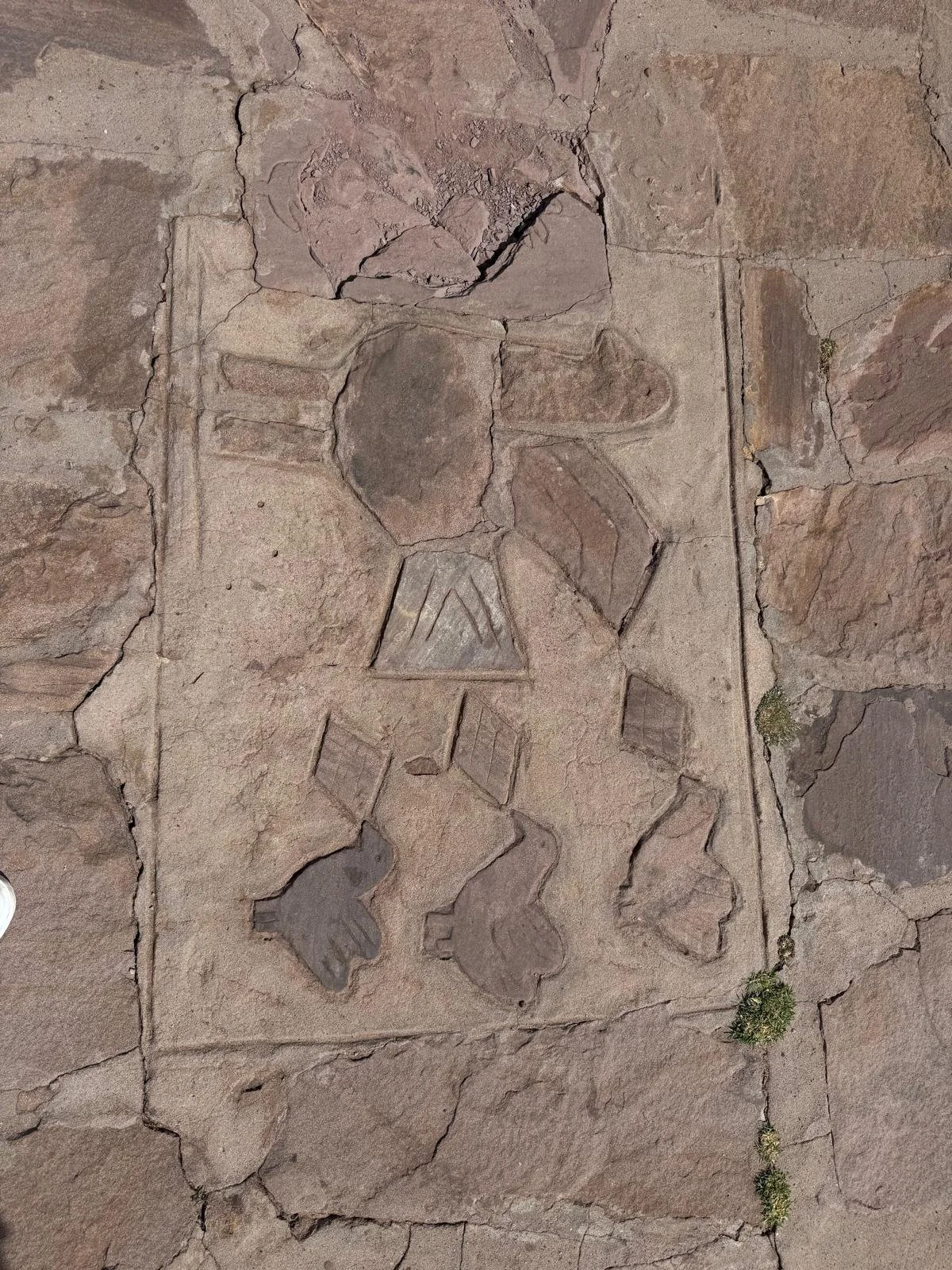 WhatsApp Image 2026-03-20 at 13.47.32 (8).jpeg