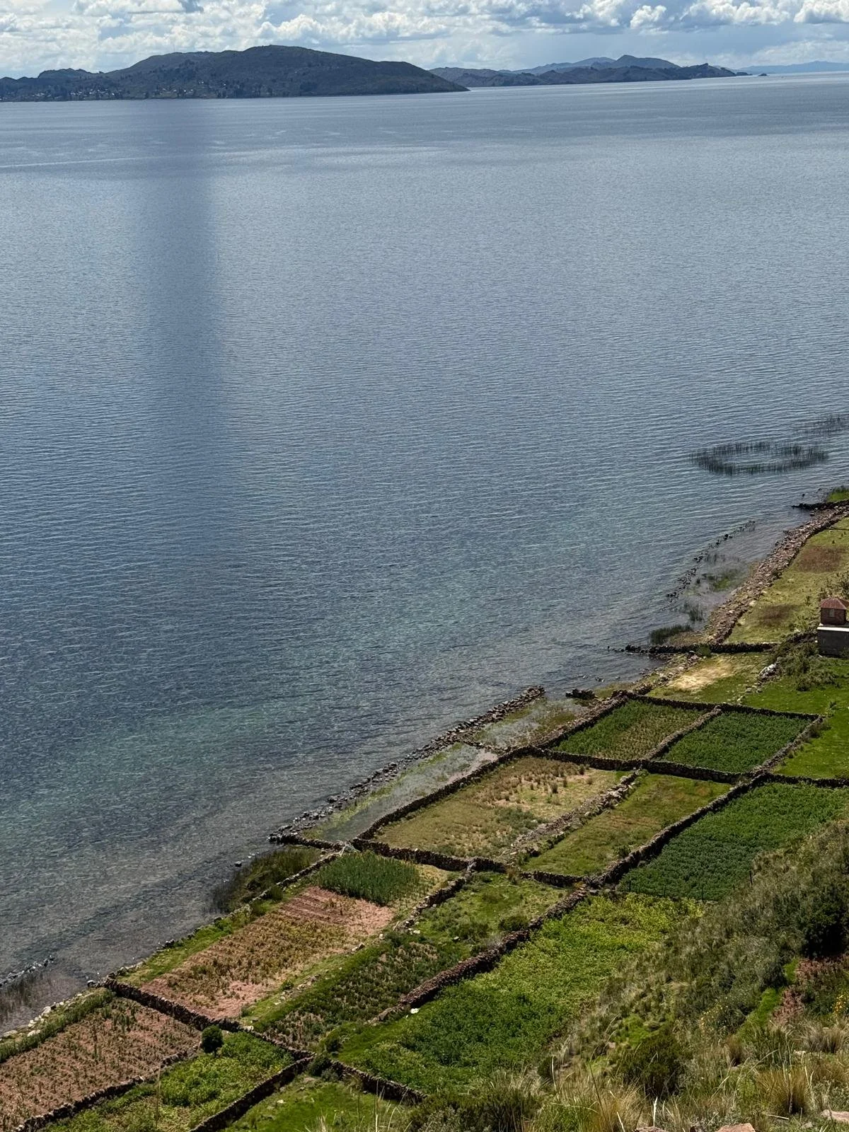 WhatsApp Image 2026-03-20 at 13.47.32 (5).jpeg