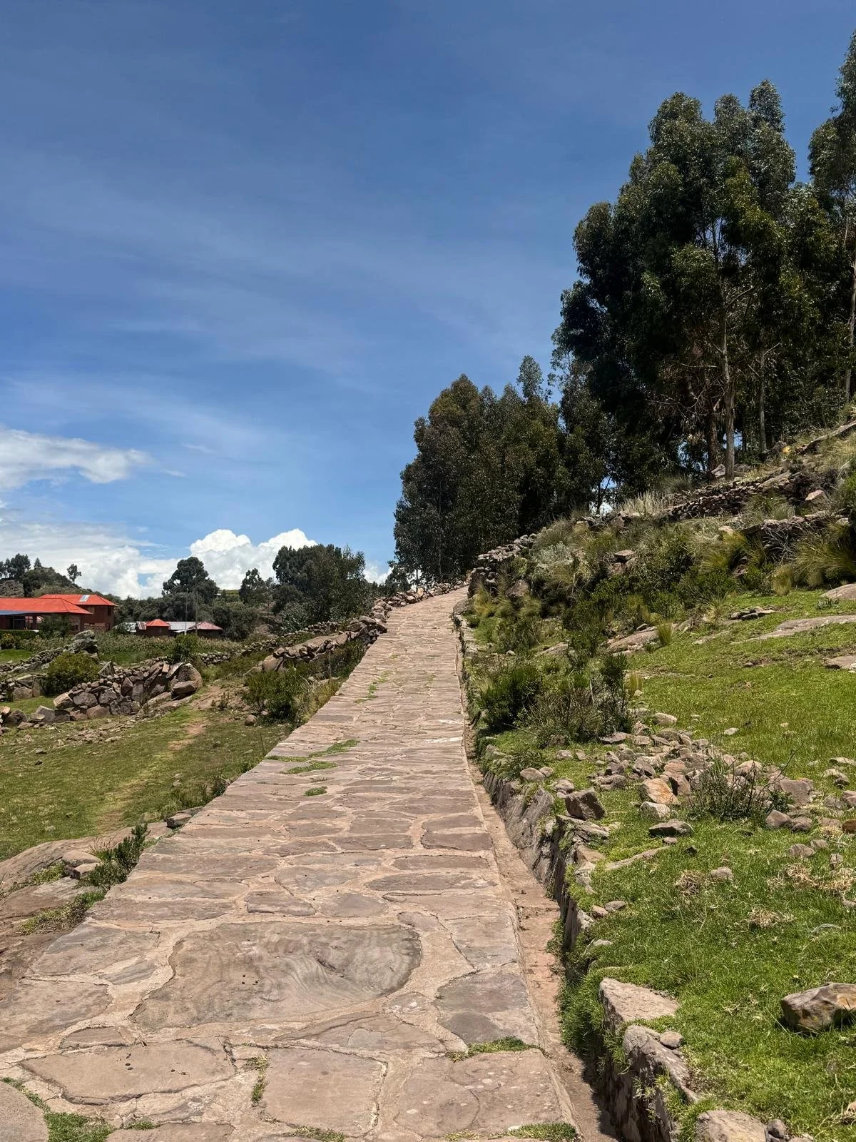 WhatsApp Image 2026-03-20 at 13.47.32 (1).jpeg