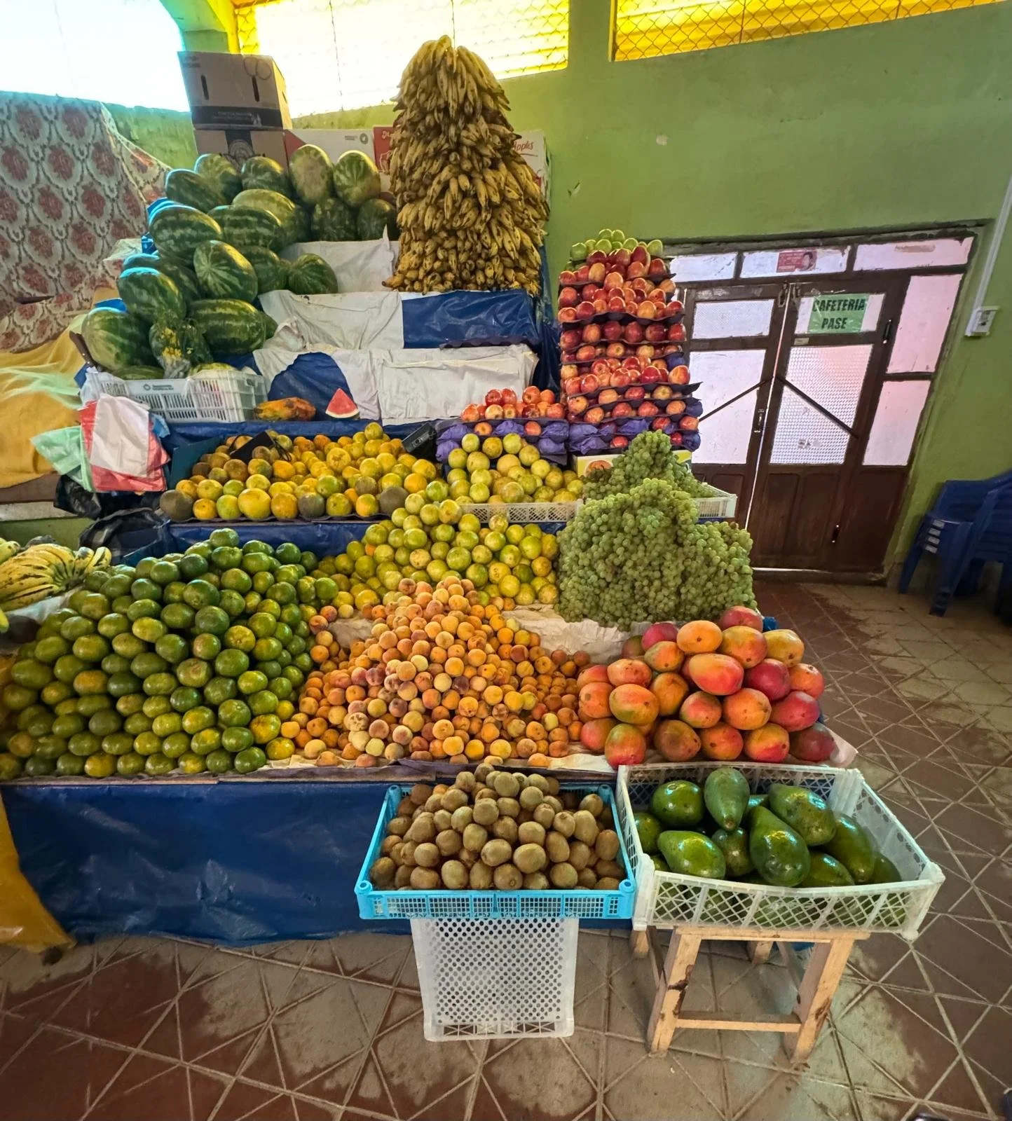 WhatsApp Image 2026-03-21 at 16.12.48.jpeg