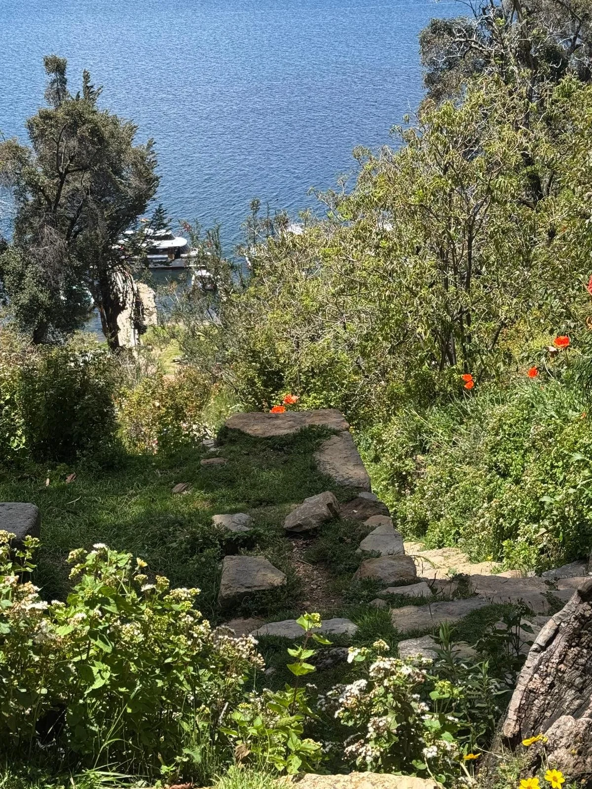 WhatsApp Image 2026-03-21 at 16.14.50 (1).jpeg