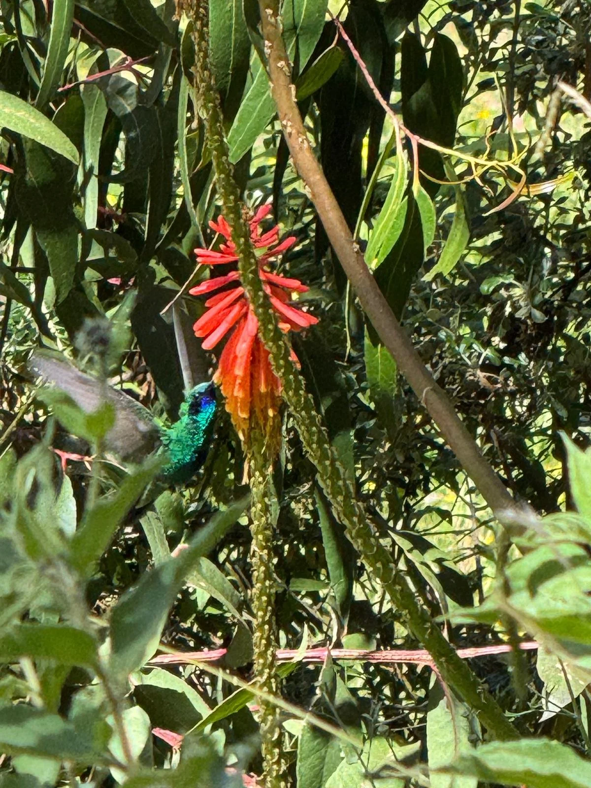 WhatsApp Image 2026-03-21 at 16.17.03 (3).jpeg