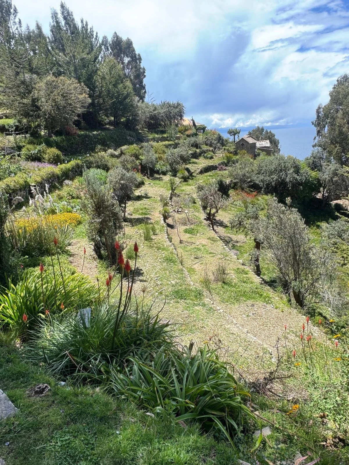 WhatsApp Image 2026-03-21 at 16.17.03 (2).jpeg