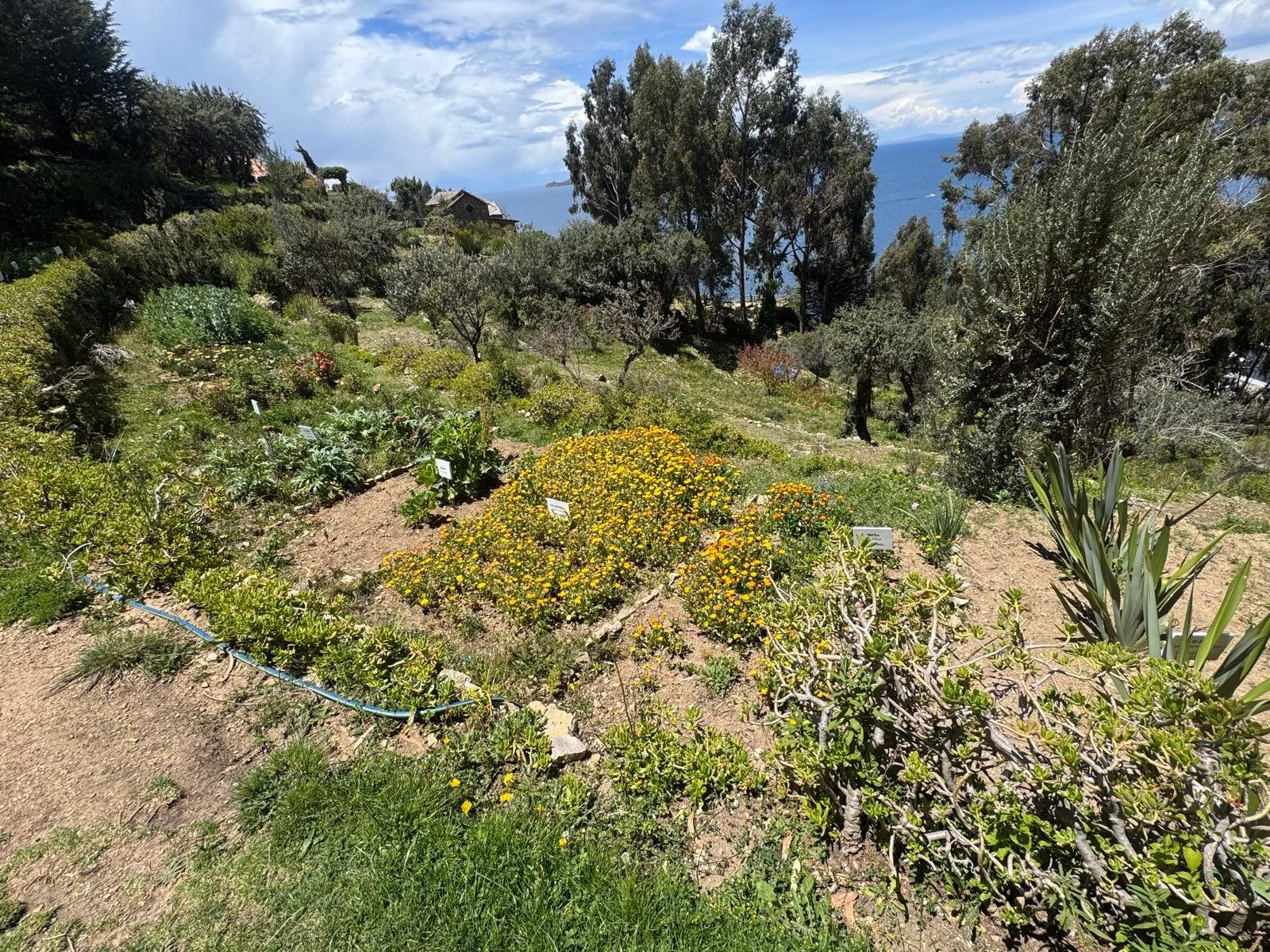 WhatsApp Image 2026-03-21 at 16.17.03 (4).jpeg