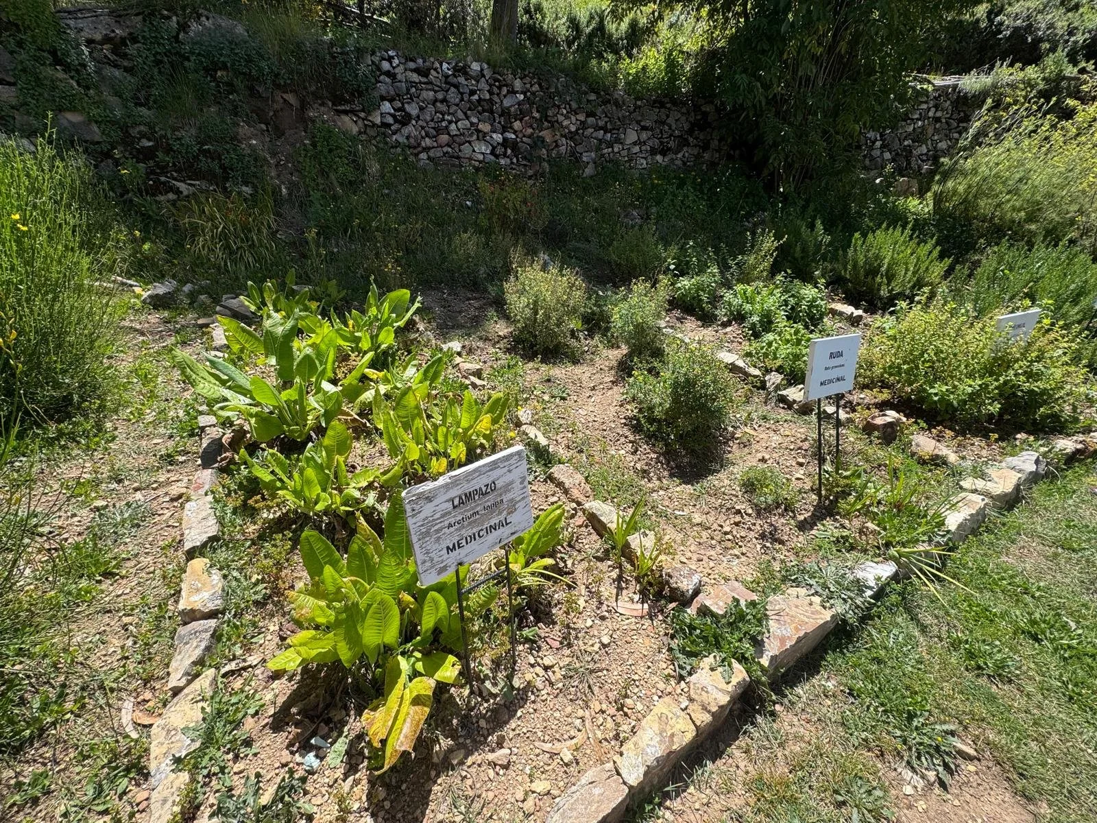 WhatsApp Image 2026-03-21 at 16.17.03 (5).jpeg