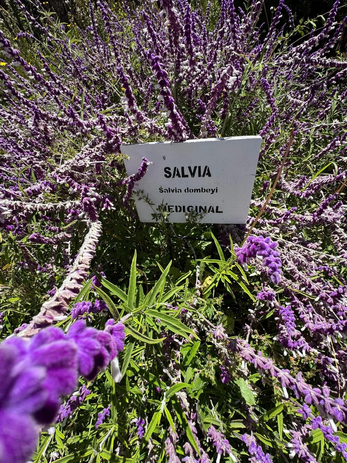 WhatsApp Image 2026-03-21 at 16.17.03 (6).jpeg