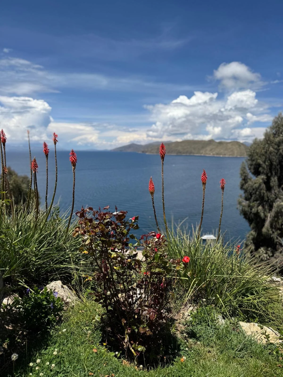 WhatsApp Image 2026-03-21 at 16.17.04.jpeg