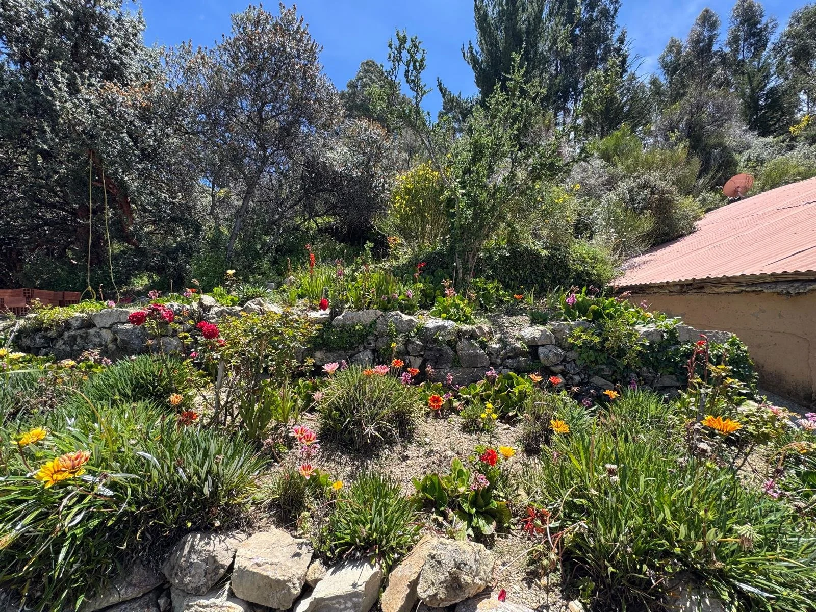 WhatsApp Image 2026-03-21 at 16.17.04 (1).jpeg