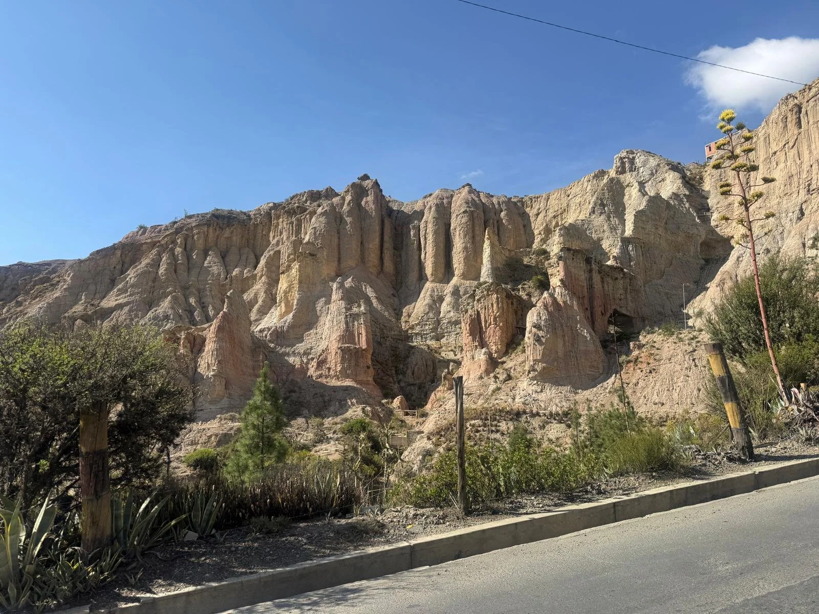 WhatsApp Image 2026-03-23 at 08.44.04.jpeg