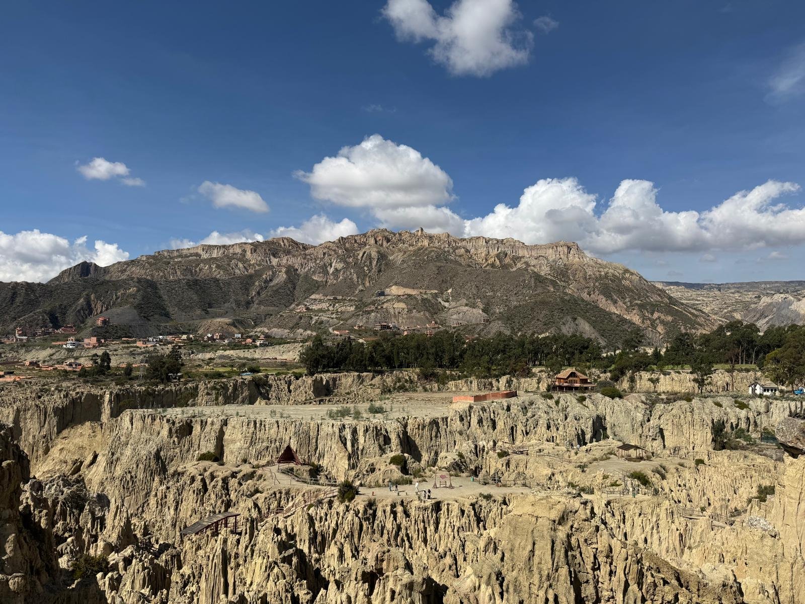 WhatsApp Image 2026-03-23 at 08.44.06.jpeg