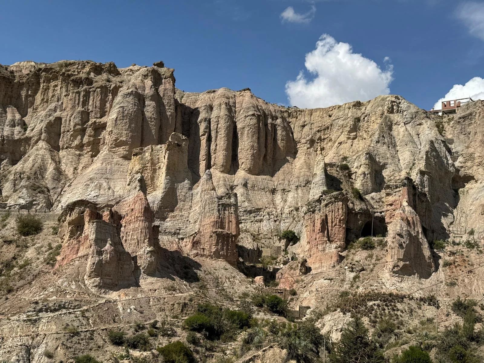 WhatsApp Image 2026-03-23 at 08.44.07 (1).jpeg