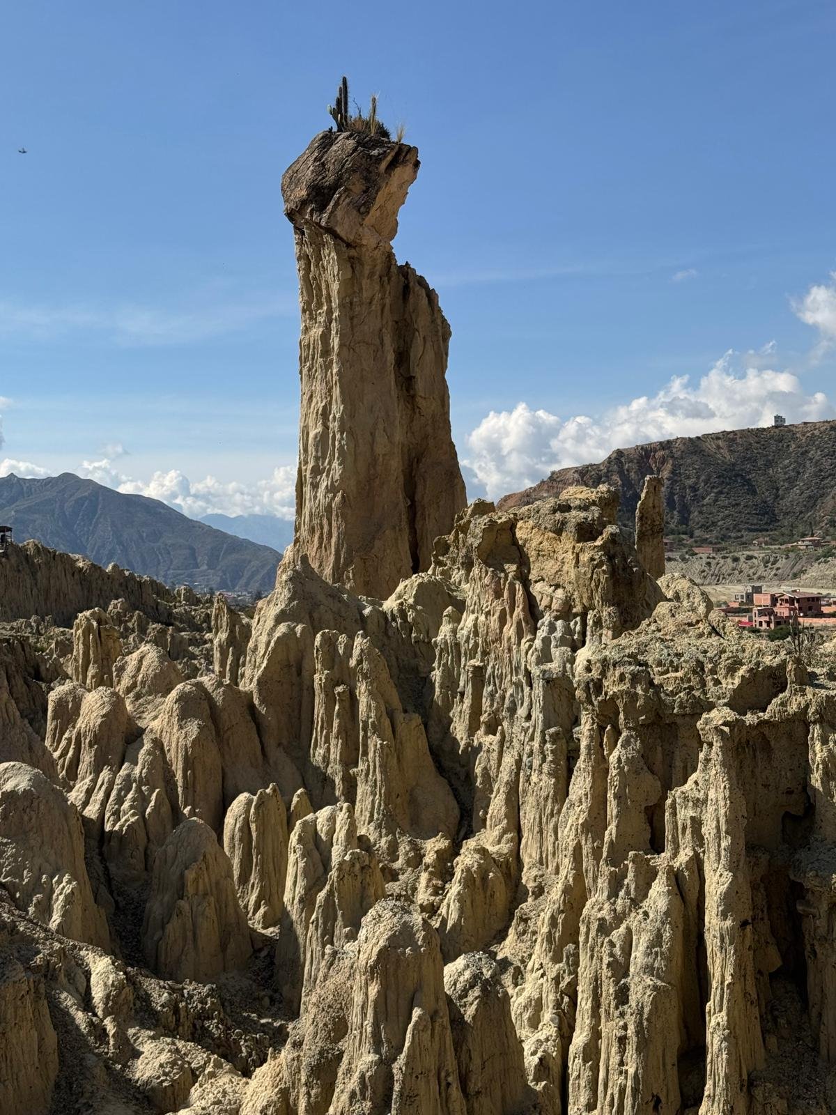 WhatsApp Image 2026-03-23 at 08.46.20 (1).jpeg