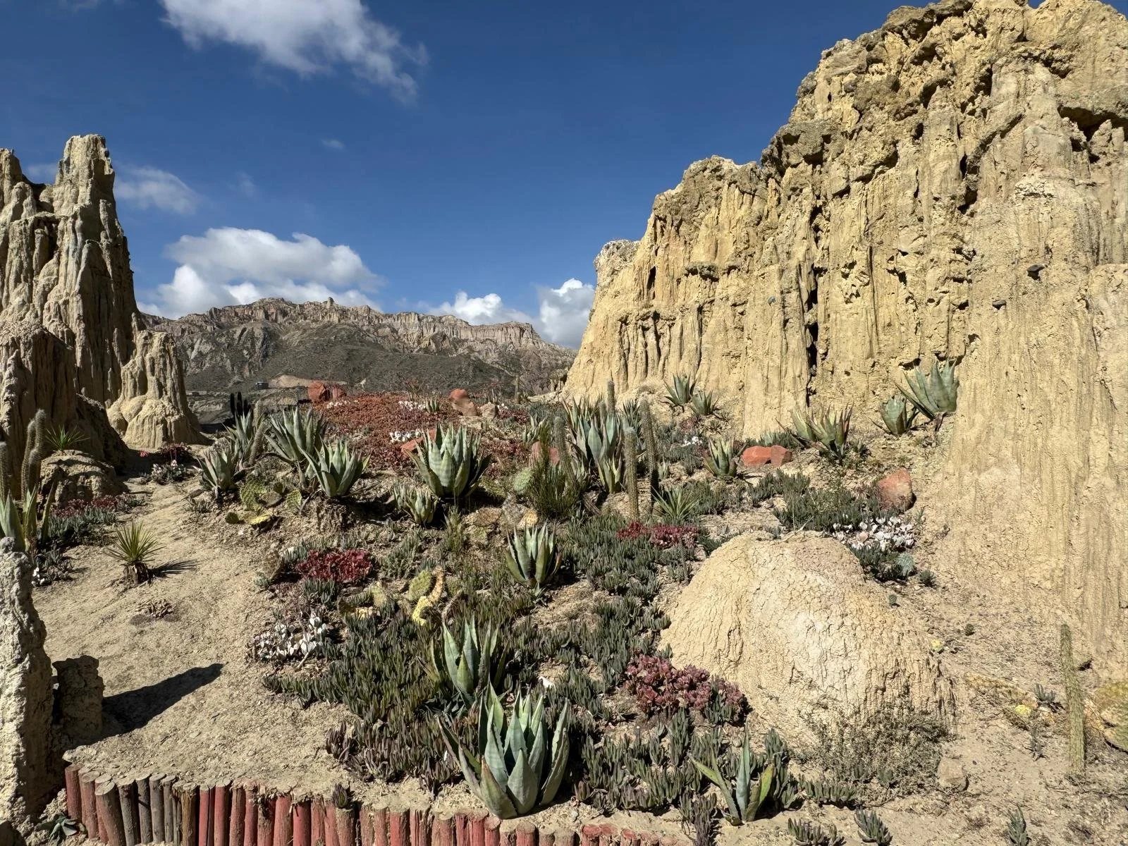 WhatsApp Image 2026-03-23 at 08.46.18.jpeg