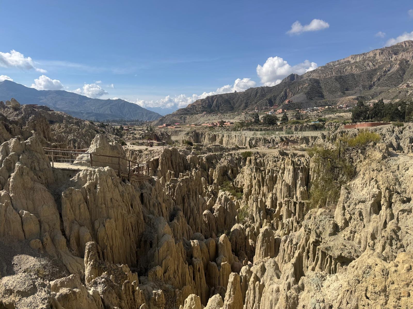 WhatsApp Image 2026-03-23 at 08.46.19 (2).jpeg