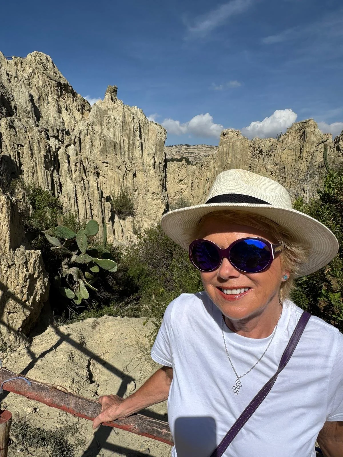 WhatsApp Image 2026-03-23 at 08.46.19 (1).jpeg