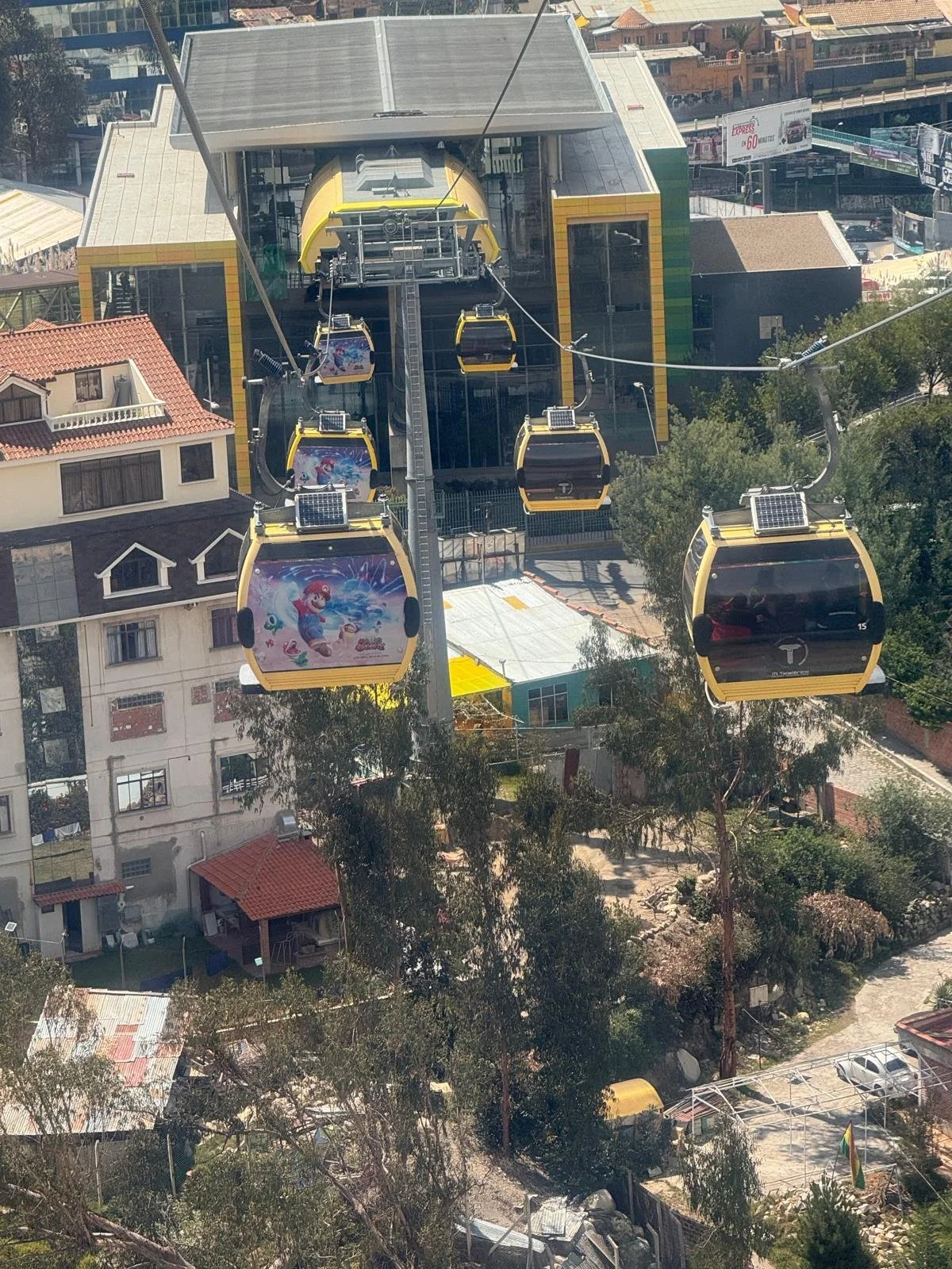 WhatsApp Image 2026-03-23 at 08.49.16.jpeg