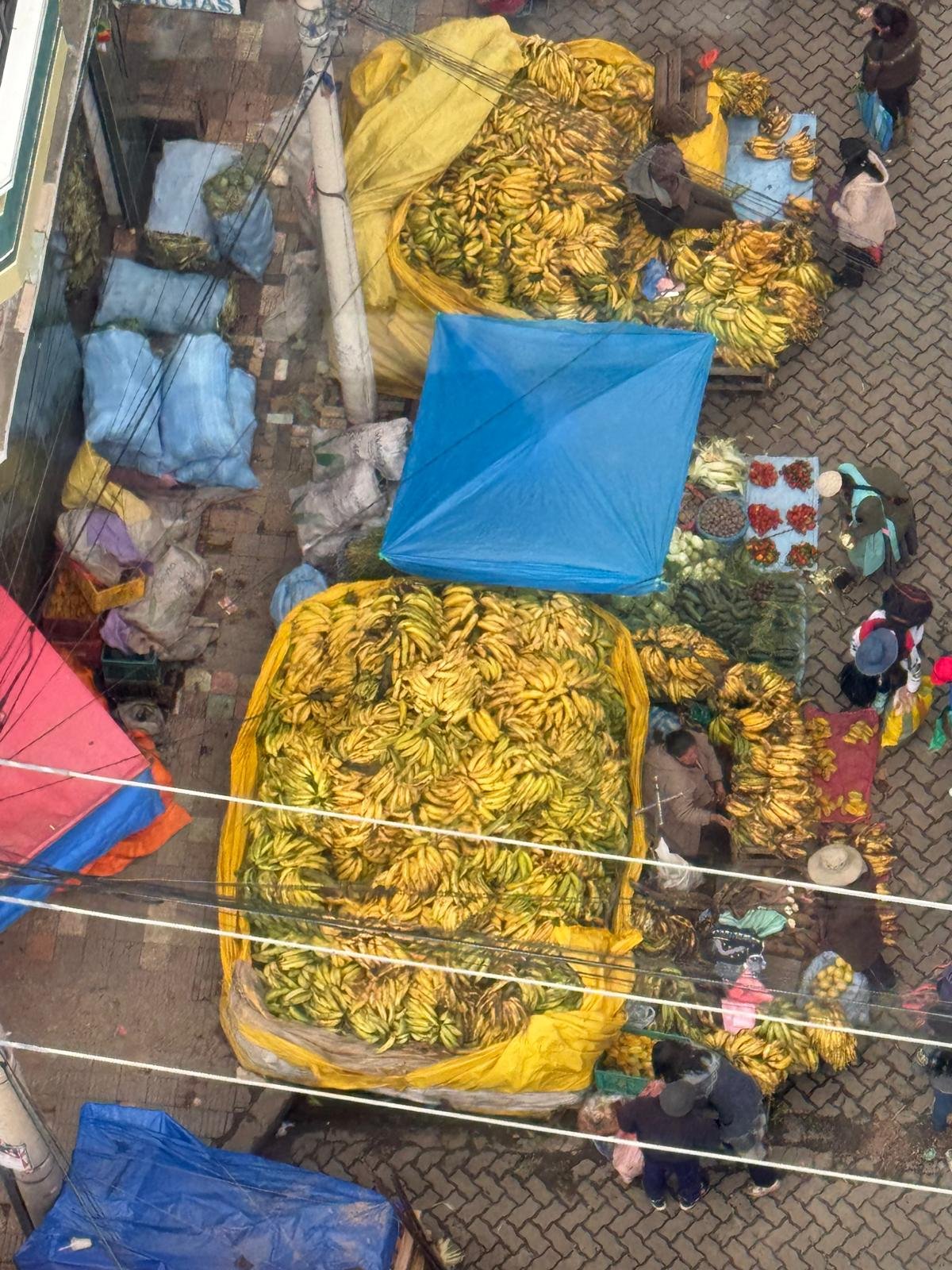 WhatsApp Image 2026-03-23 at 08.52.26.jpeg