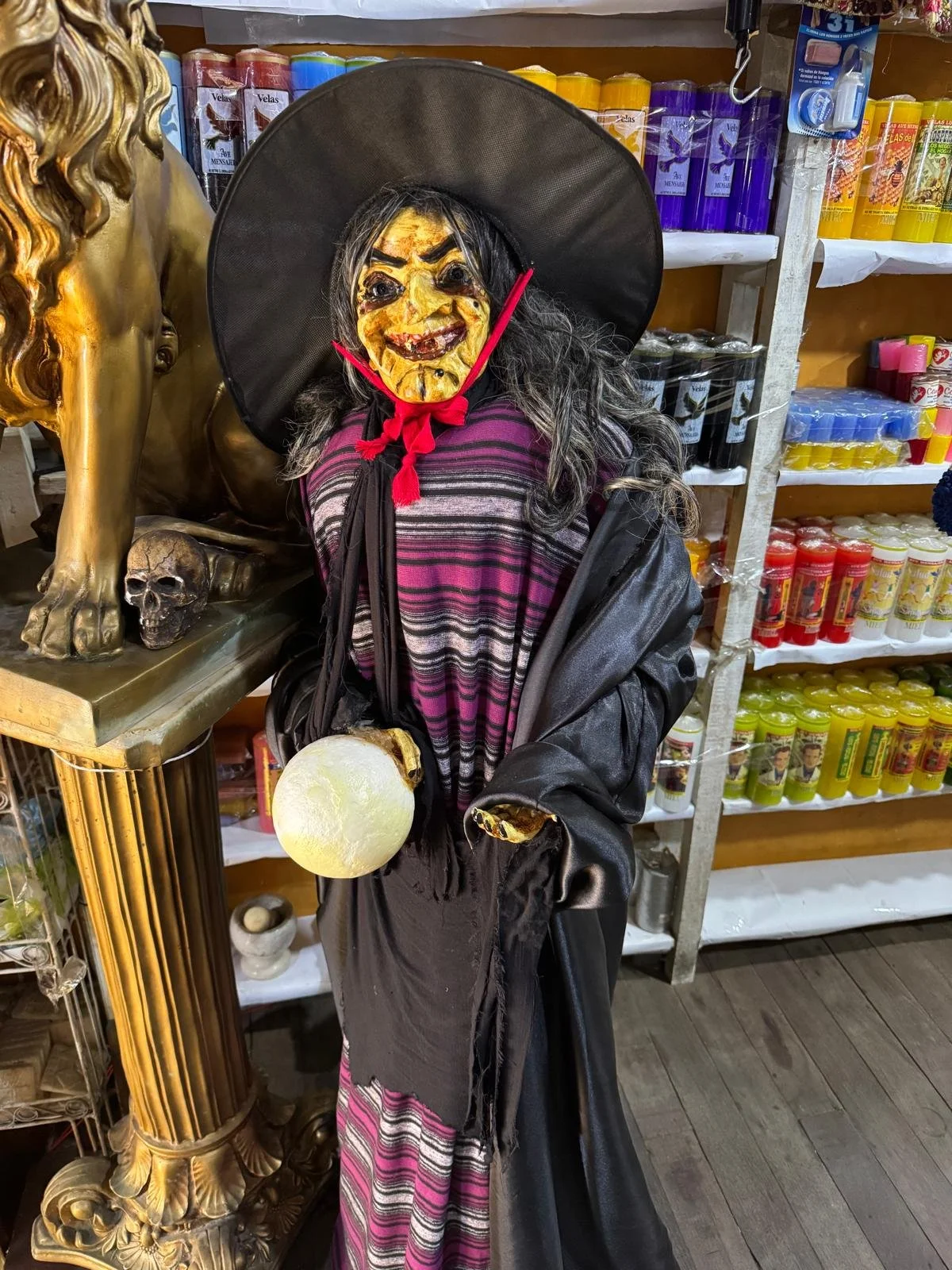 WhatsApp Image 2026-03-23 at 08.57.58.jpeg