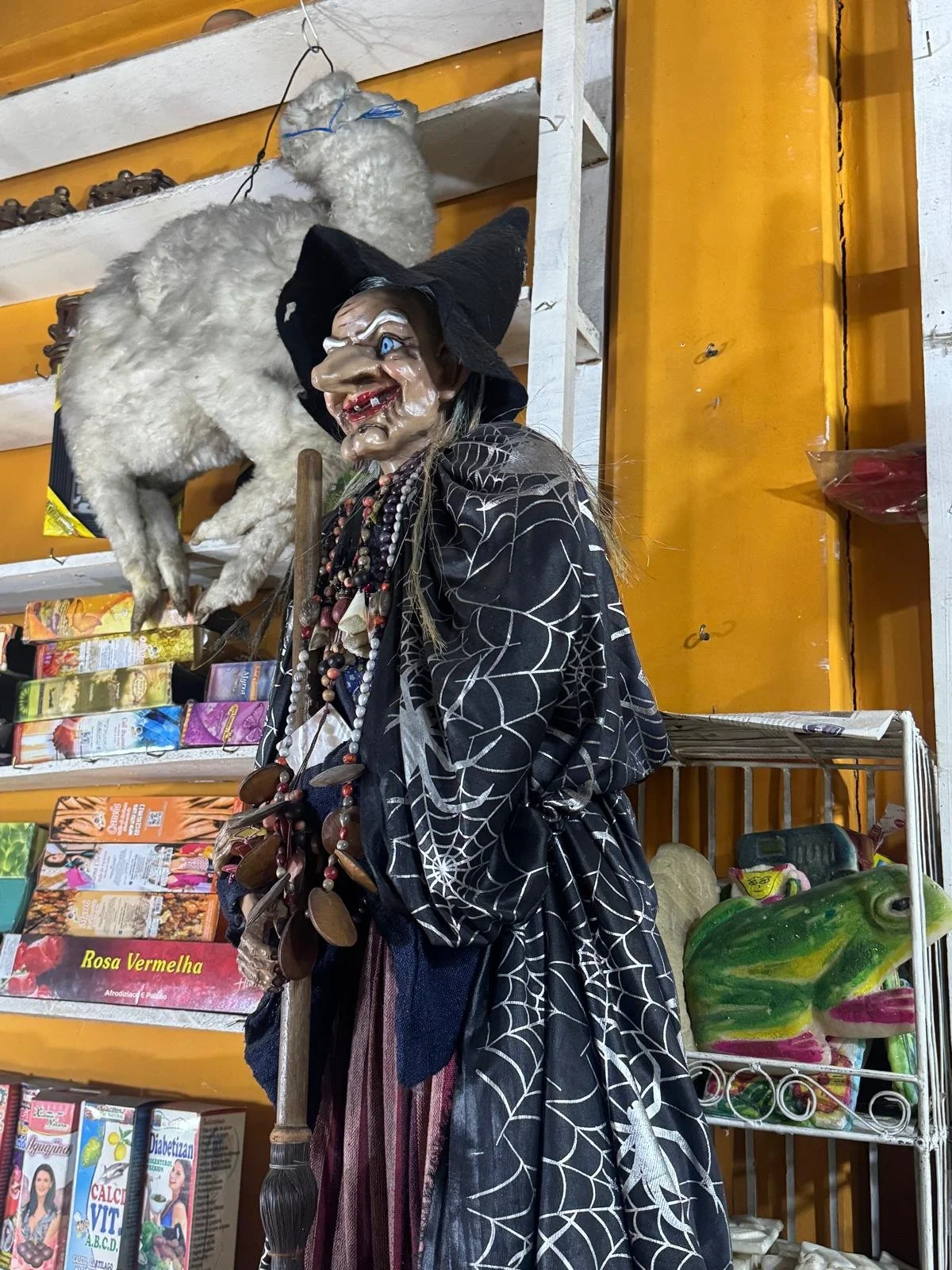 WhatsApp Image 2026-03-23 at 08.58.00.jpeg