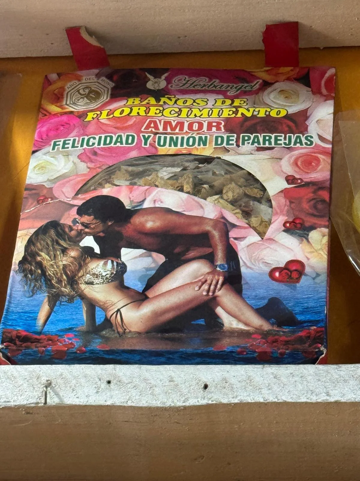 WhatsApp Image 2026-03-23 at 09.00.53.jpeg