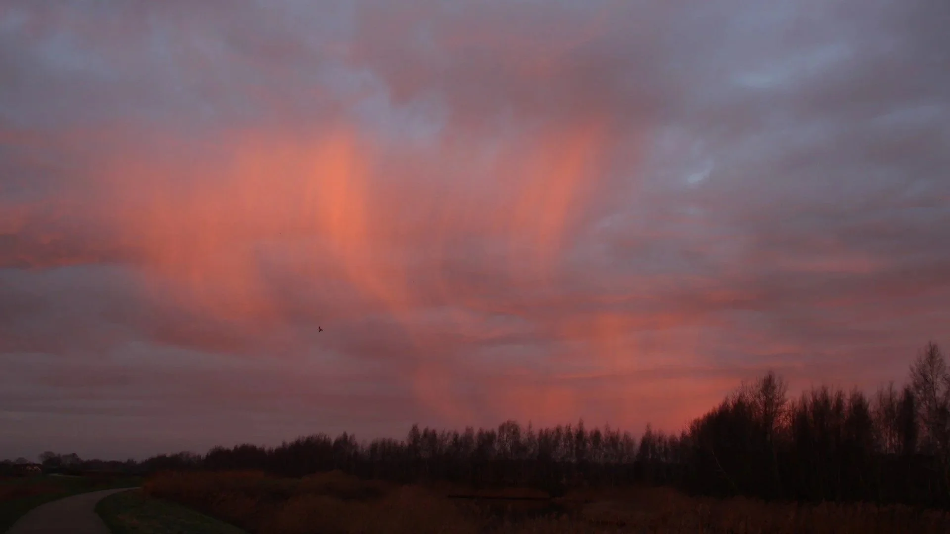 KLEUR IS DE ZIEL VAN DE NATUUR EN VAN DE HELE KOSMOS